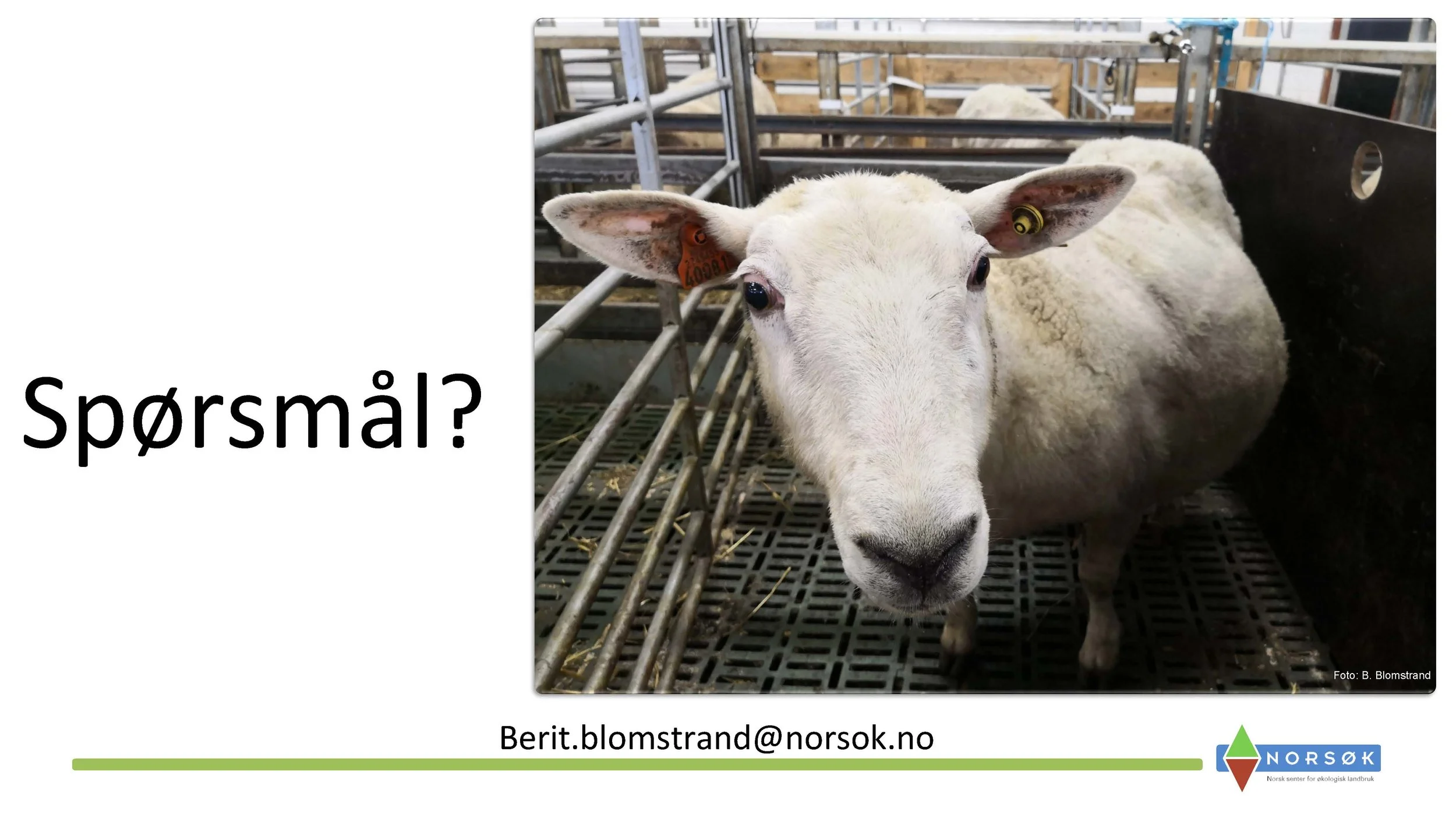 12.50 Berit Blomstrand_råmelkas betydning_Side_13.jpg