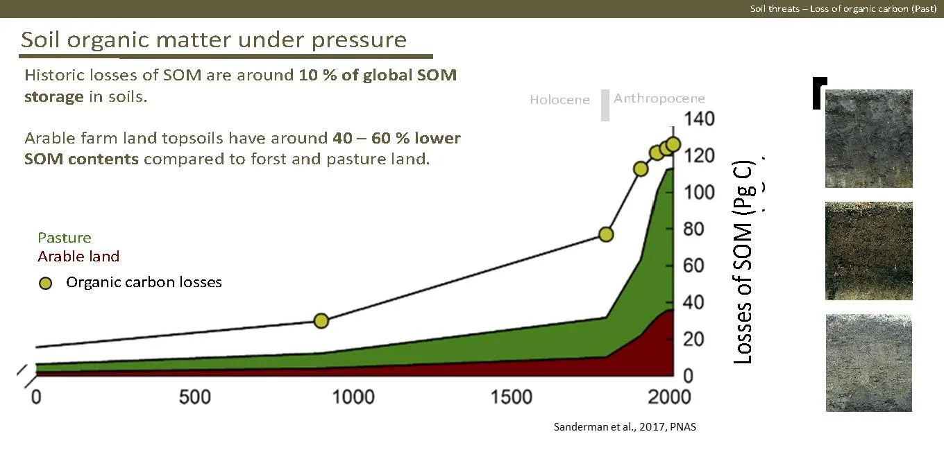 Norway presentation Final 1_Side_06.jpg