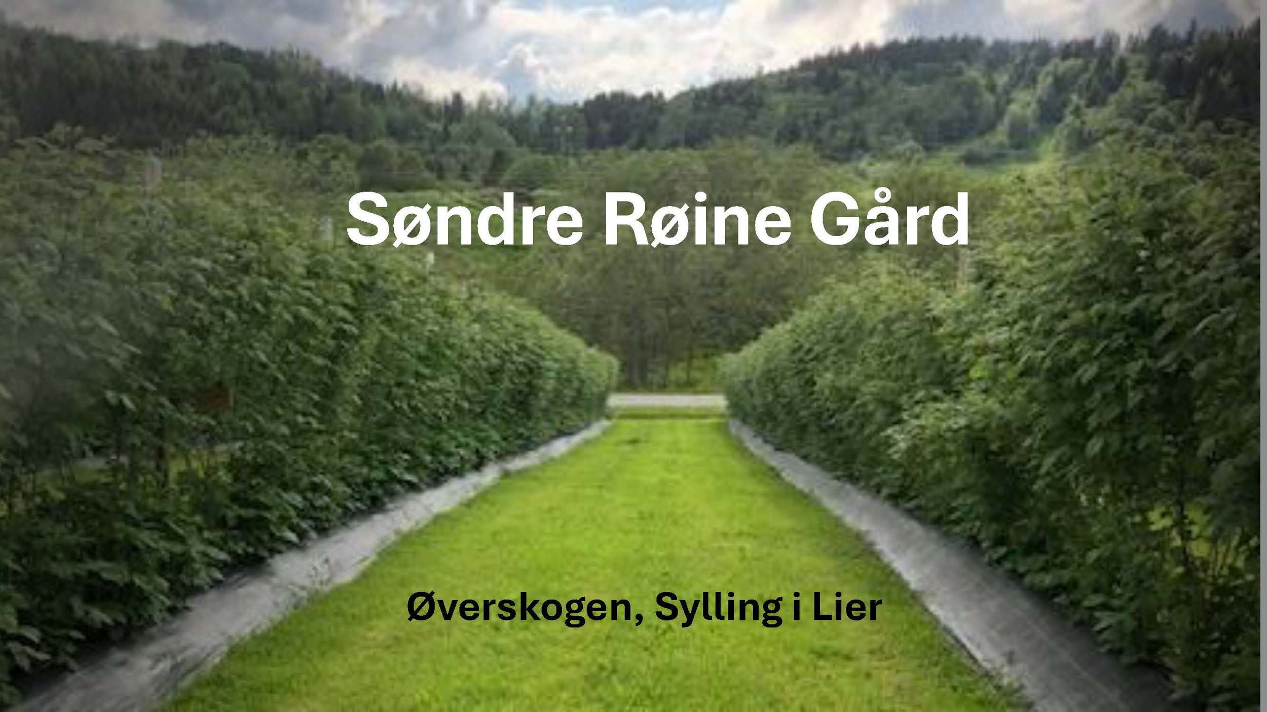 Røine_Side_01.jpg
