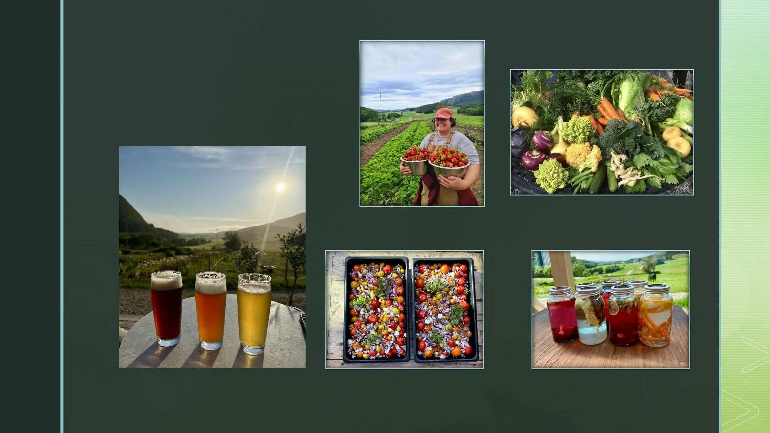 09 45 Åkerbruk Dun Gård, Jøa_Side_30.jpg