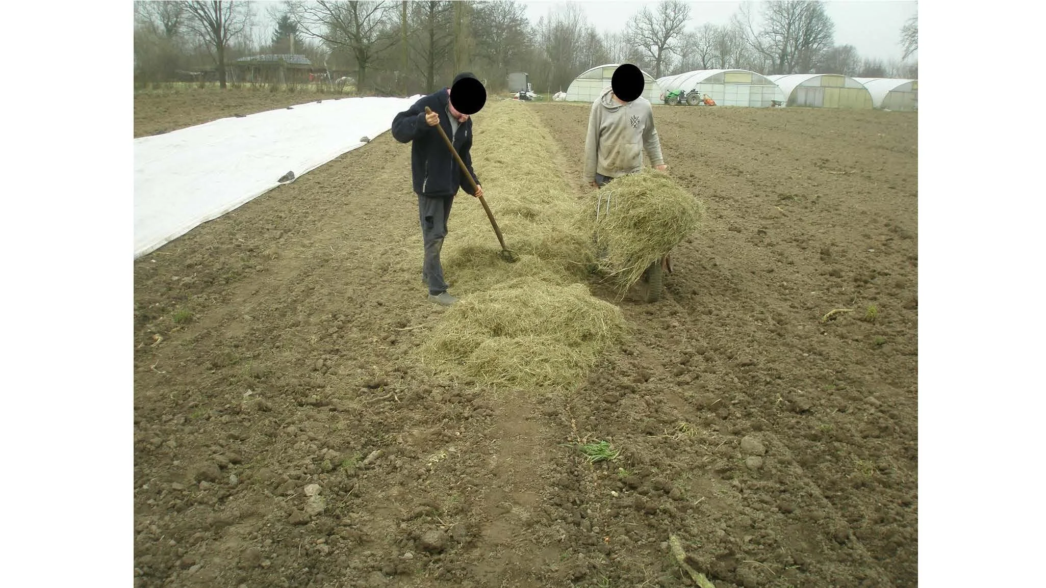 08 00 Dyrking av grønnsakser uten eksterne innsatsfaktorer Dieter Pansegrau_Side_33.jpg