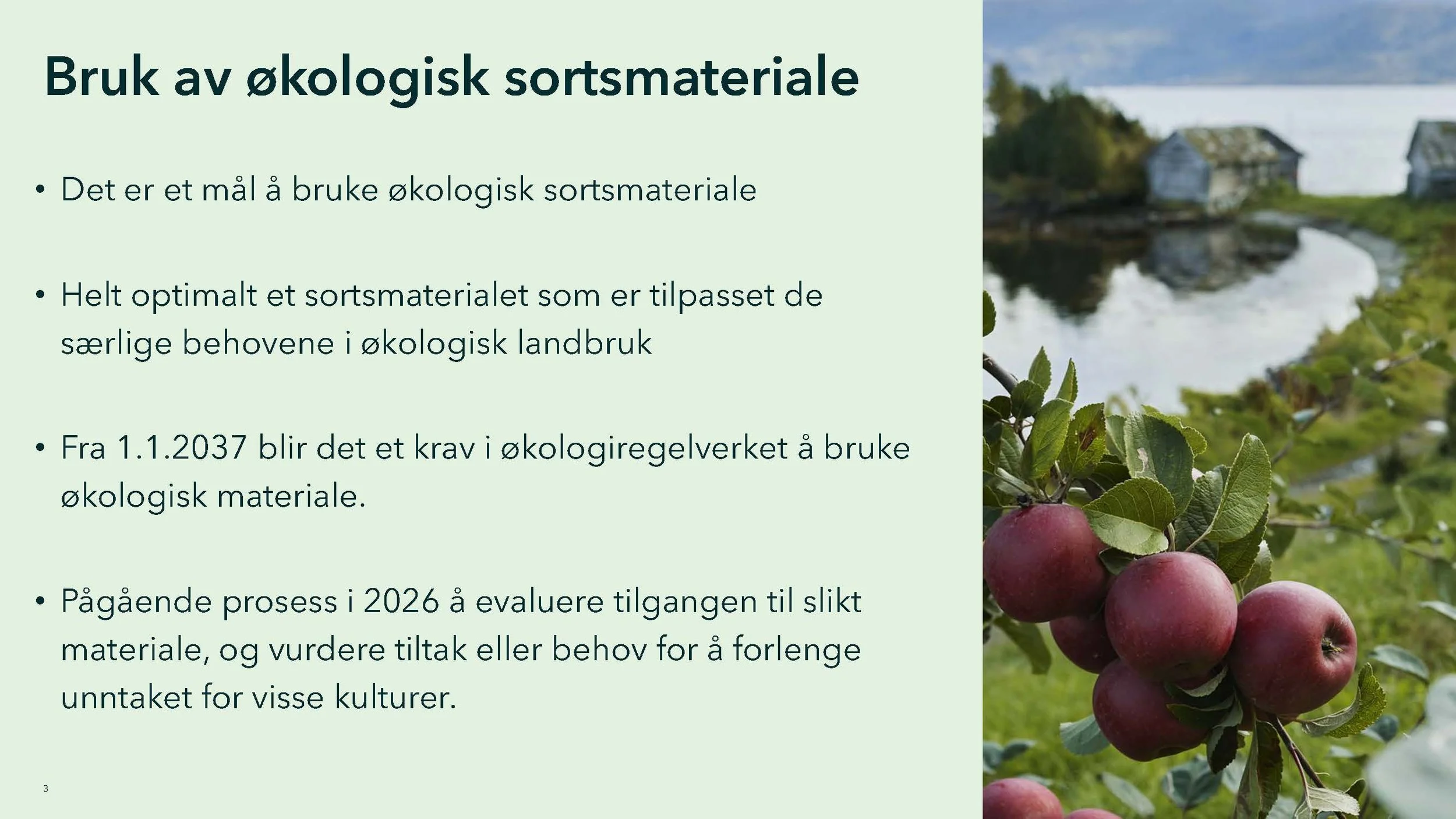 Monica 2_Side_03.jpg