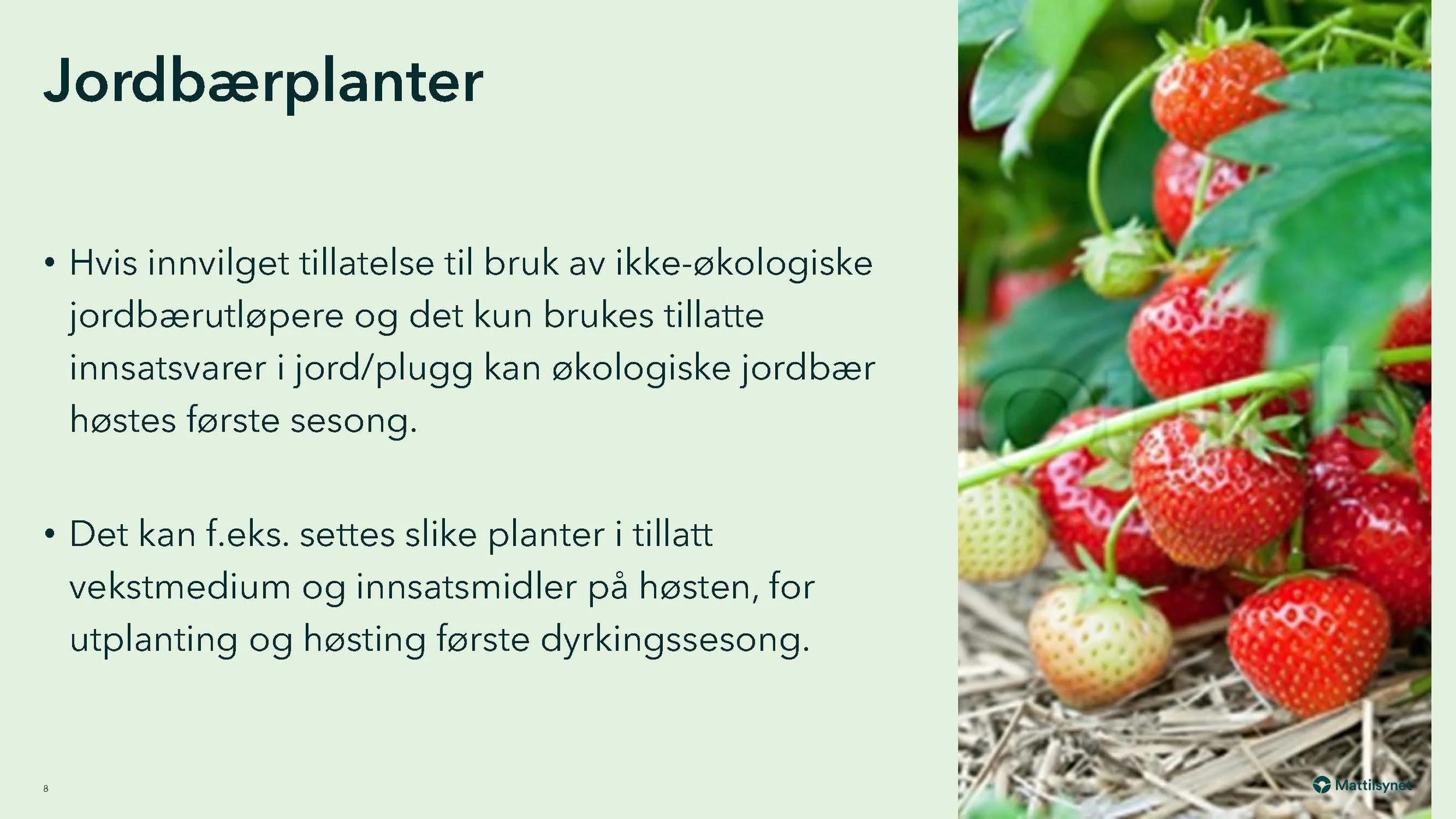 08 30 Regler for omlegging fra konv. til øko produksjon Mattilsynet,_Side_08.jpg