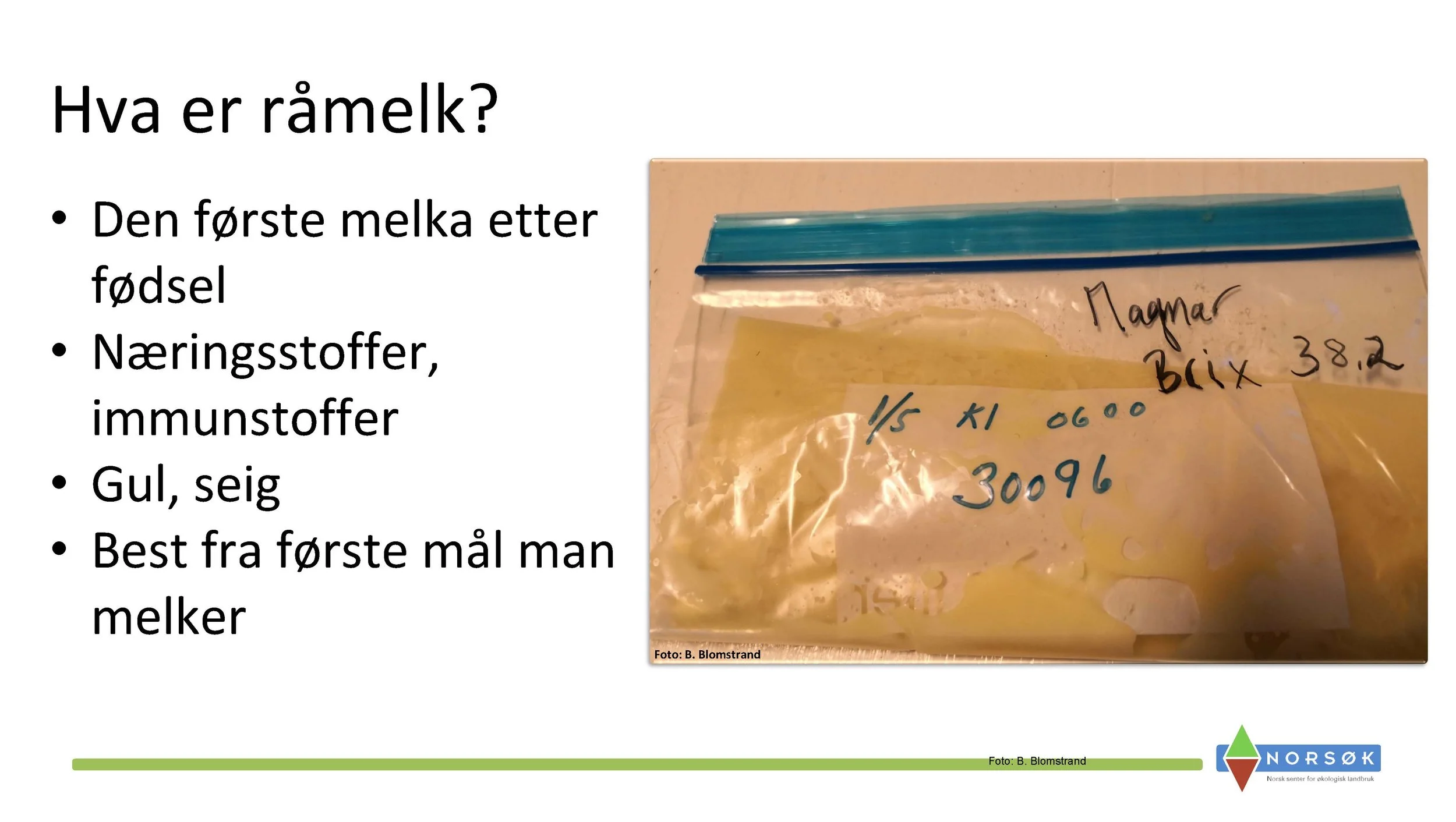 12.50 Berit Blomstrand_råmelkas betydning_Side_03.jpg