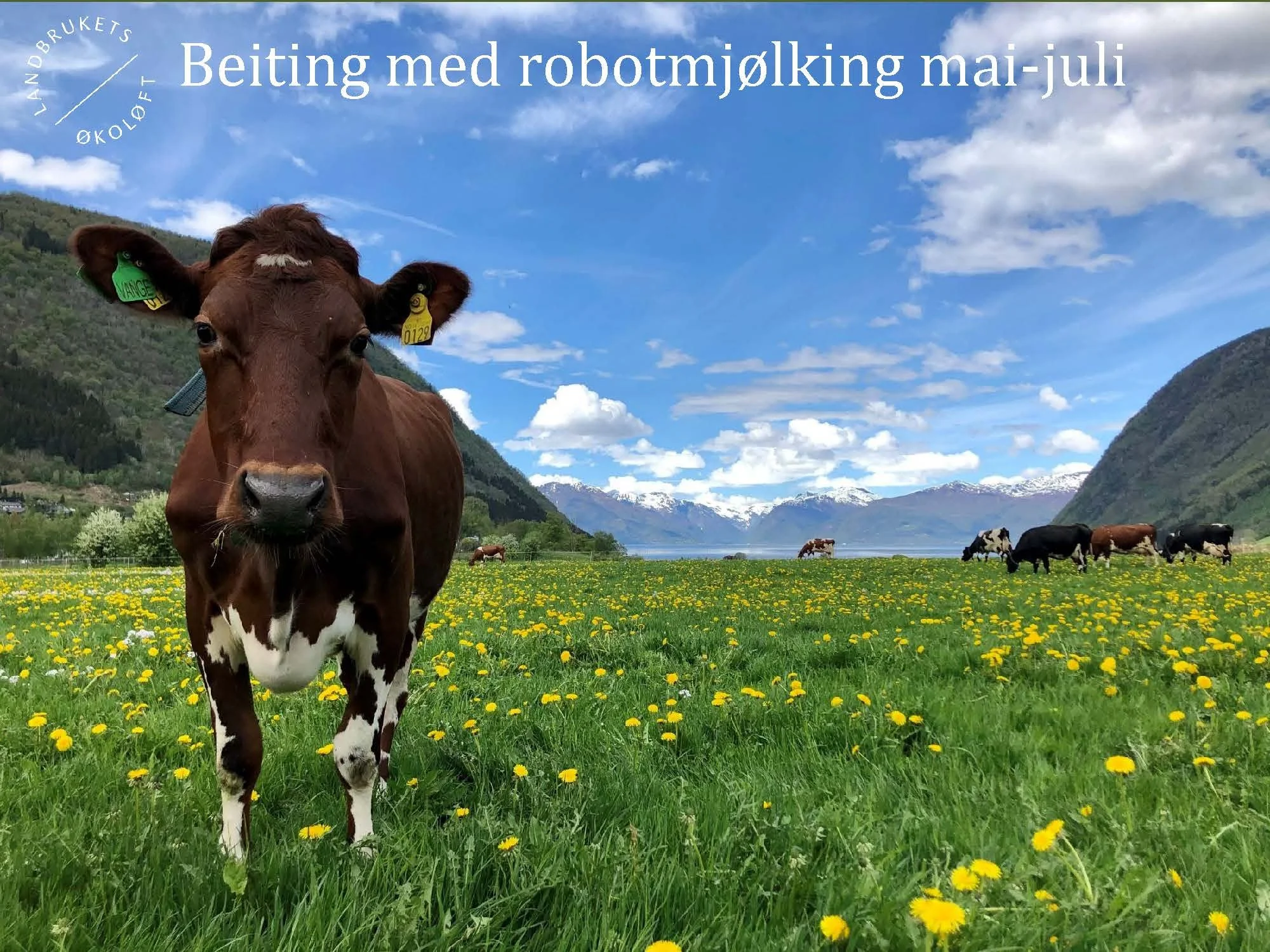 11.20 (2) Turid Vange Spydspiss_Side_05.jpg