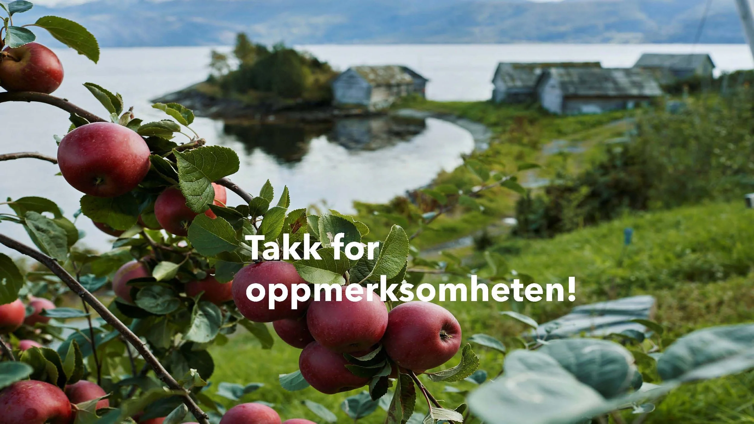 08 30 Regler for omlegging fra konv. til øko produksjon Mattilsynet,_Side_17.jpg