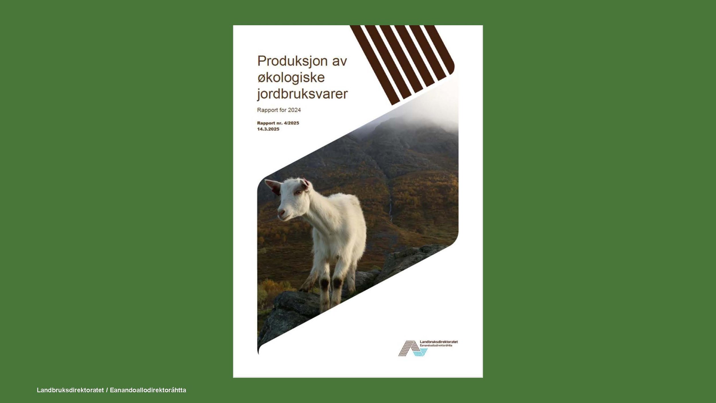 Økokongress 2026_Ldir_Side_02.jpg