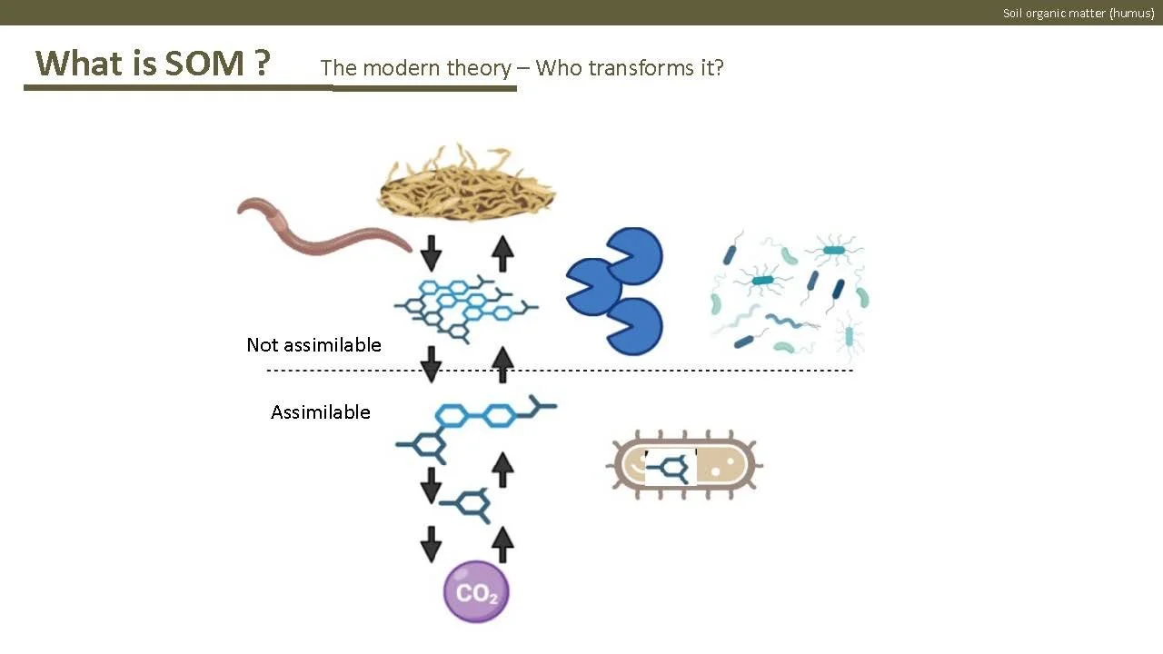 Norway presentation Final 1_Side_21.jpg