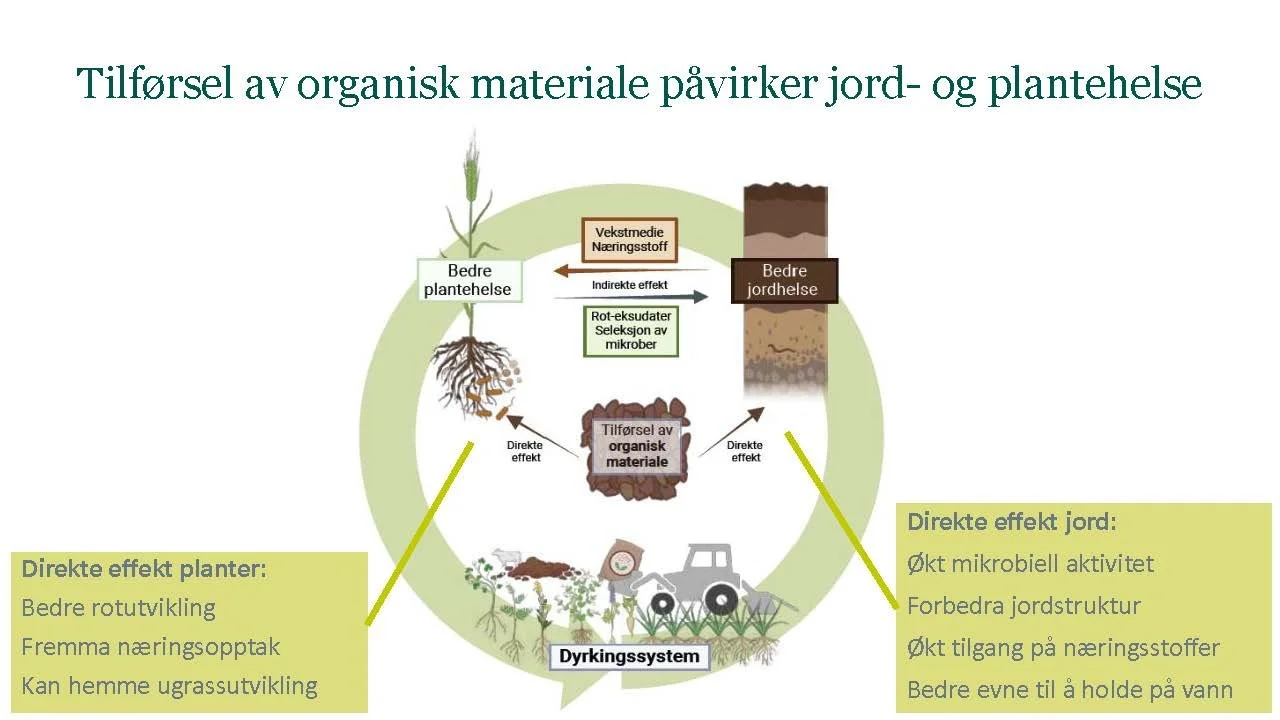 14 00  God jordhelse og plantehelse Heidi U Aamot Åkerbruk_Side_13.jpg