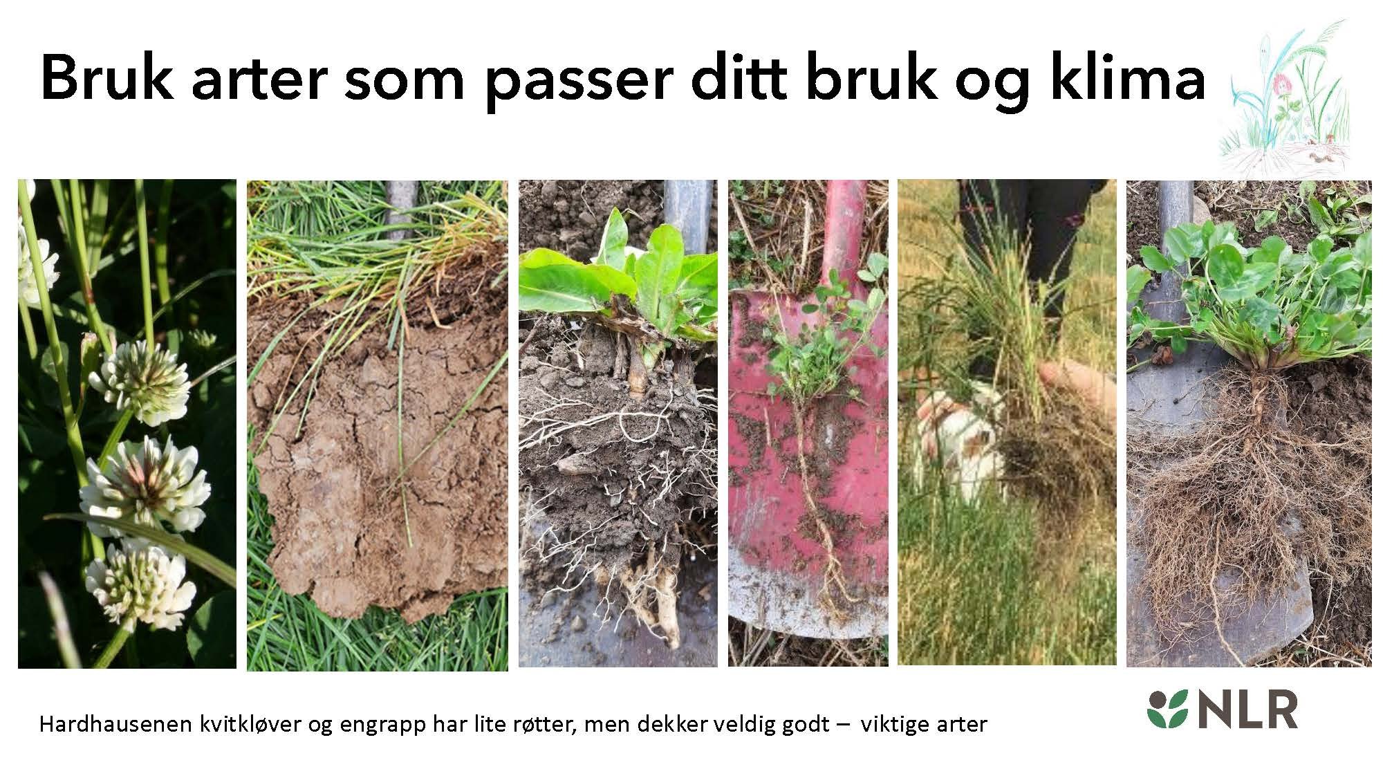 16.30 Den fantastiske enga! Kari Bysveen_Side_06.jpg