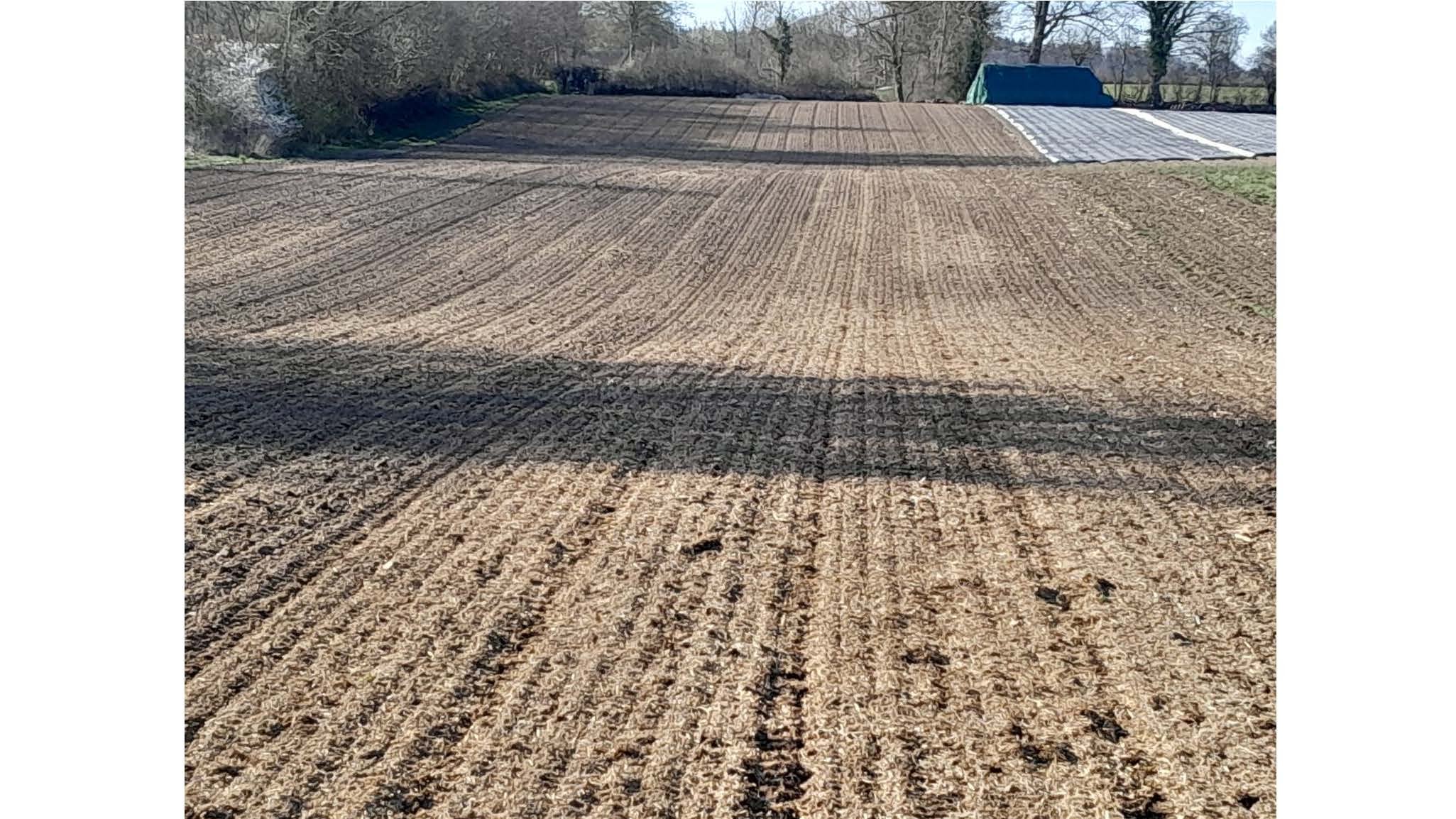 08 00 Dyrking av grønnsakser uten eksterne innsatsfaktorer Dieter Pansegrau_Side_51.jpg