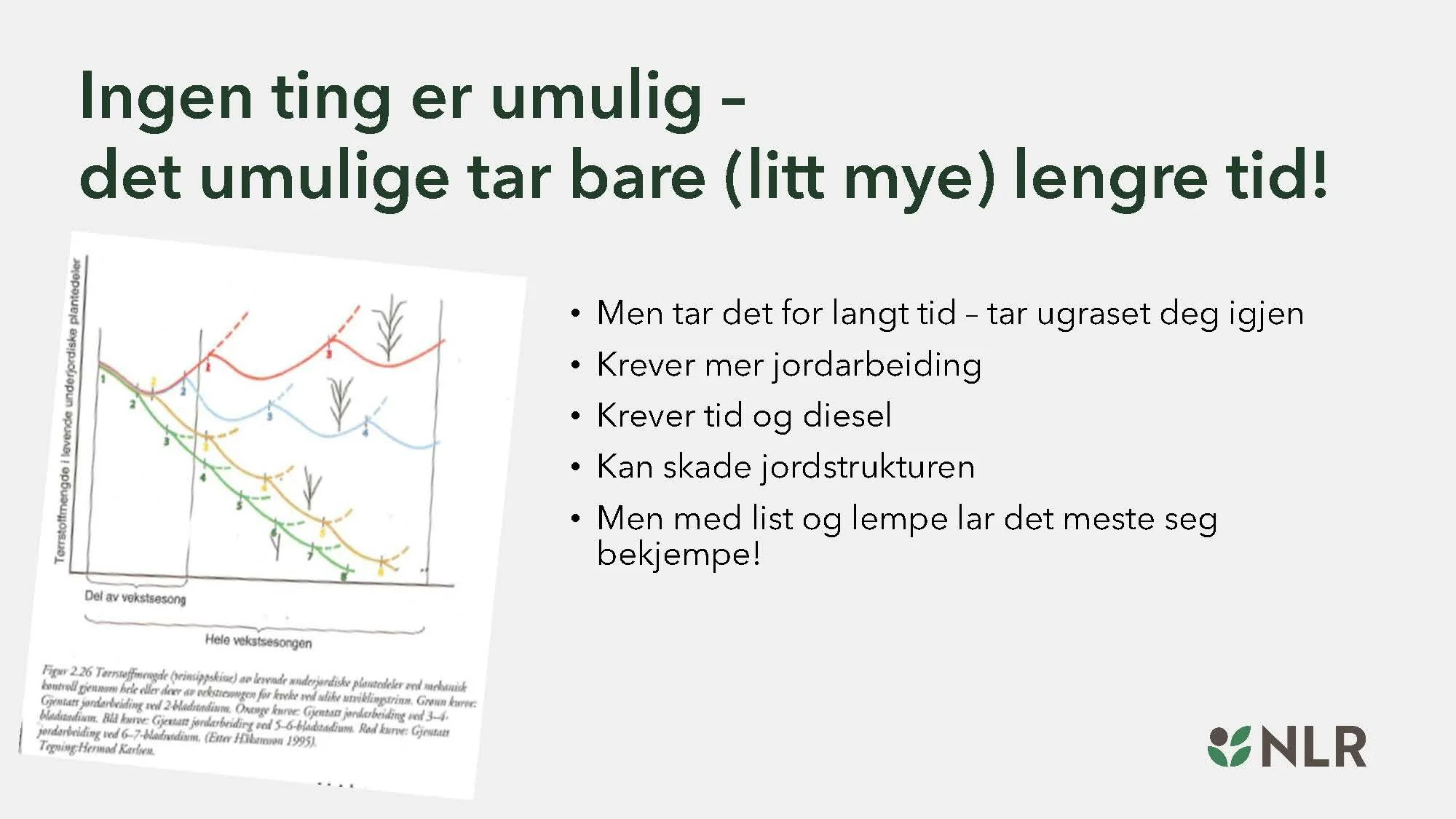 16.30 Den fantastiske enga! Kari Bysveen_Side_31.jpg