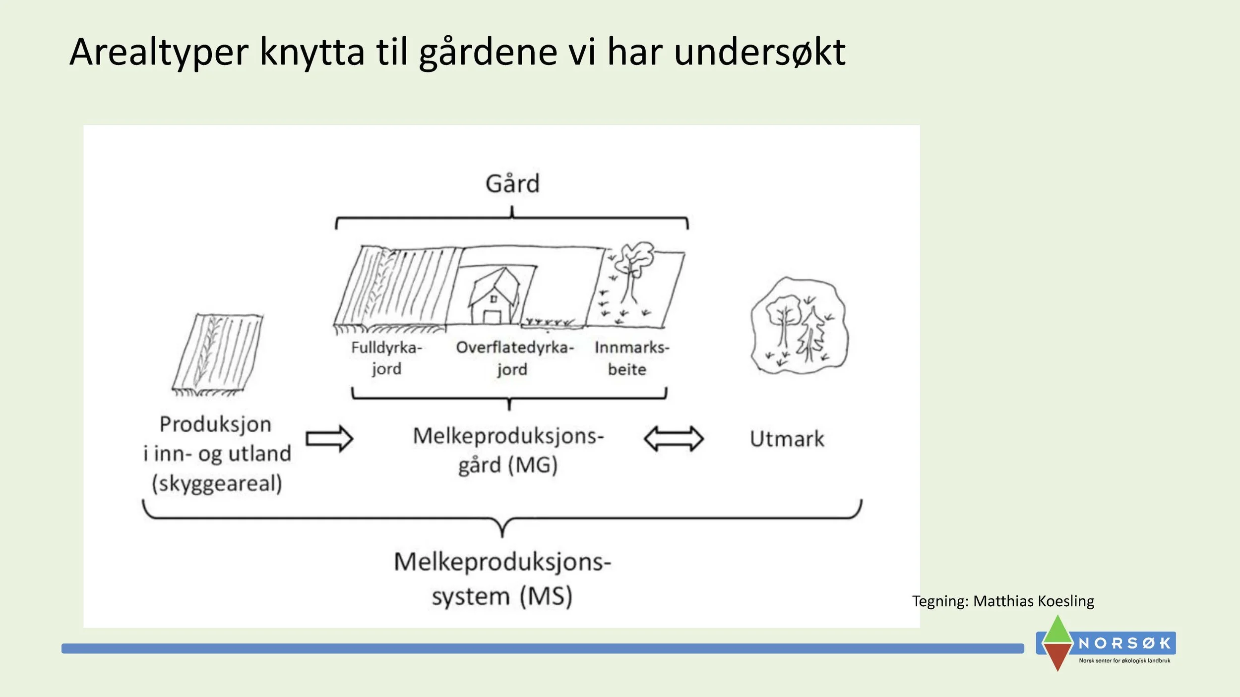11.05 Anne Kristin Løes Økolandbruket beredskap og bærekraft-1_Side_03_Side_05.jpg