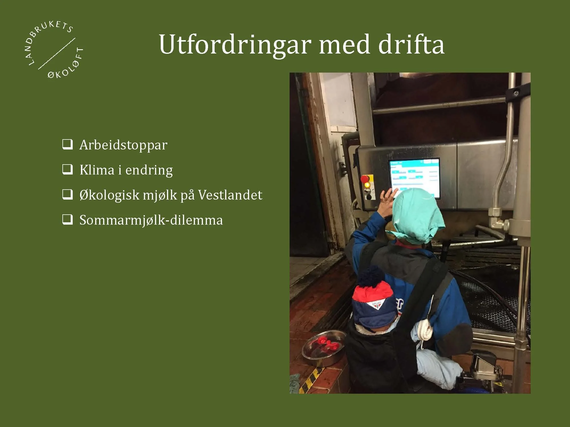 11.20 (2) Turid Vange Spydspiss_Side_13.jpg