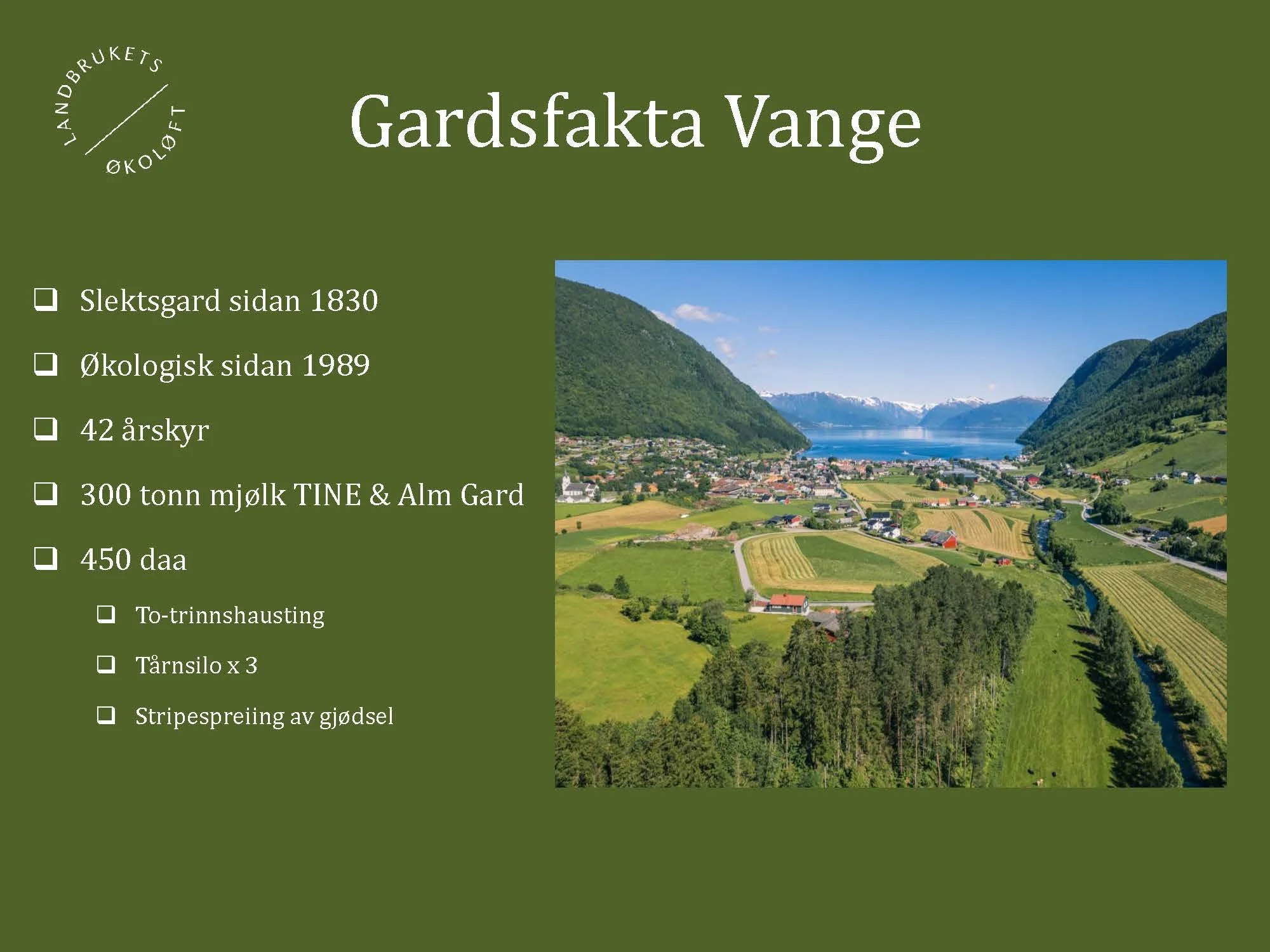 11.20 (2) Turid Vange Spydspiss_Side_03.jpg