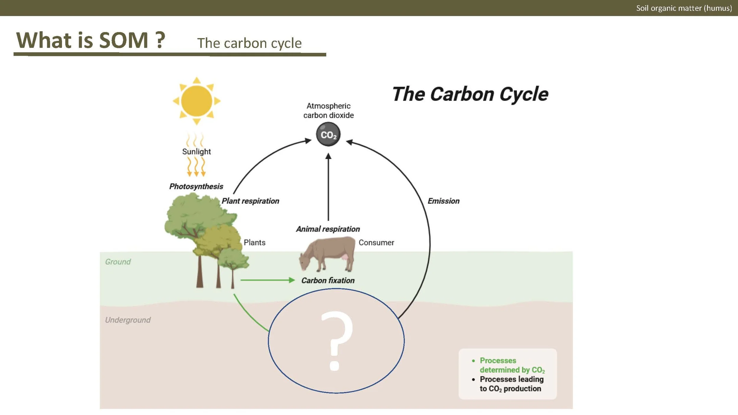Norway presentation Final 1_Side_16.jpg