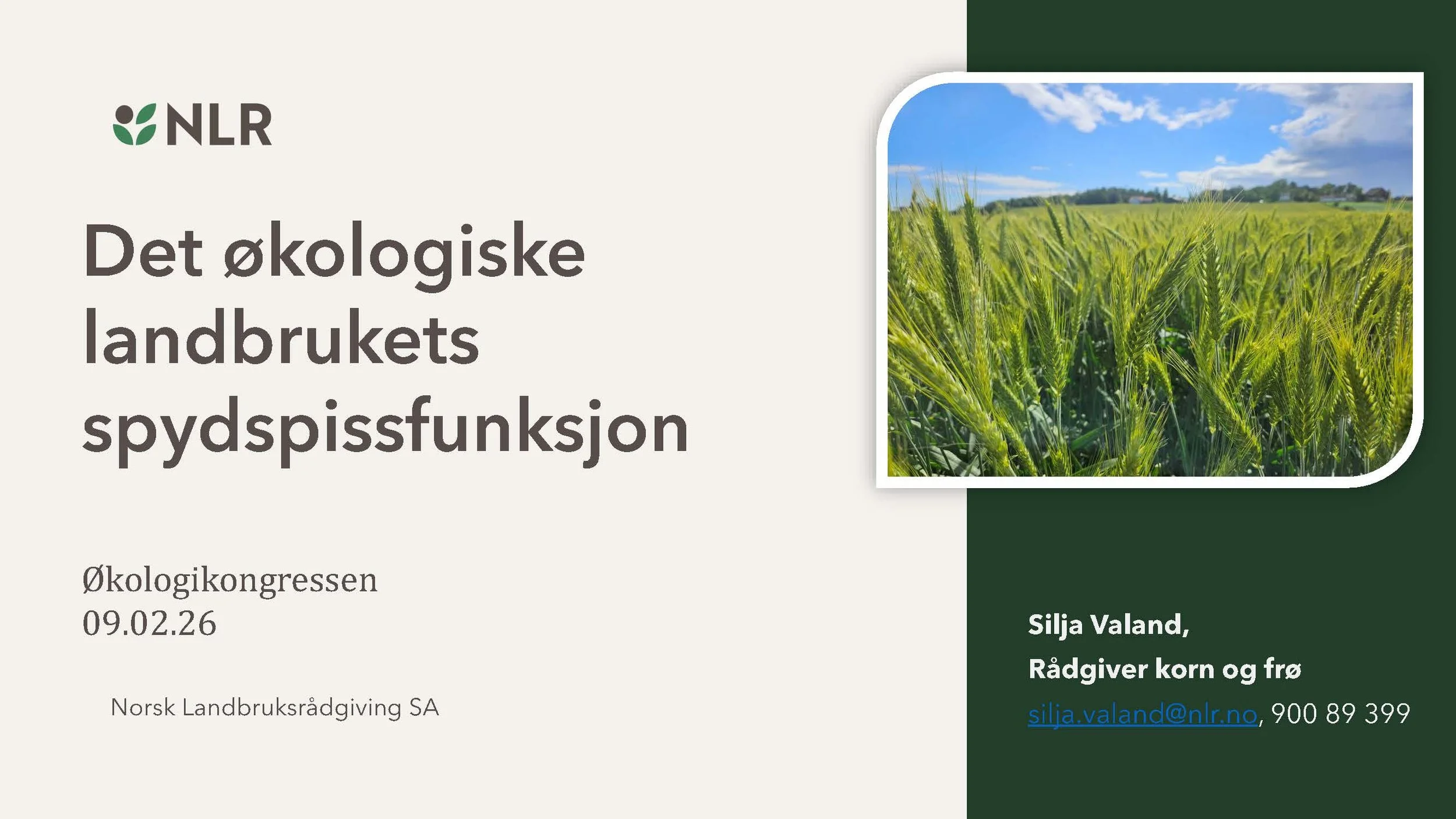 11.20 (3) Silja Valand Spydspissfunksjon_Side_1.jpg