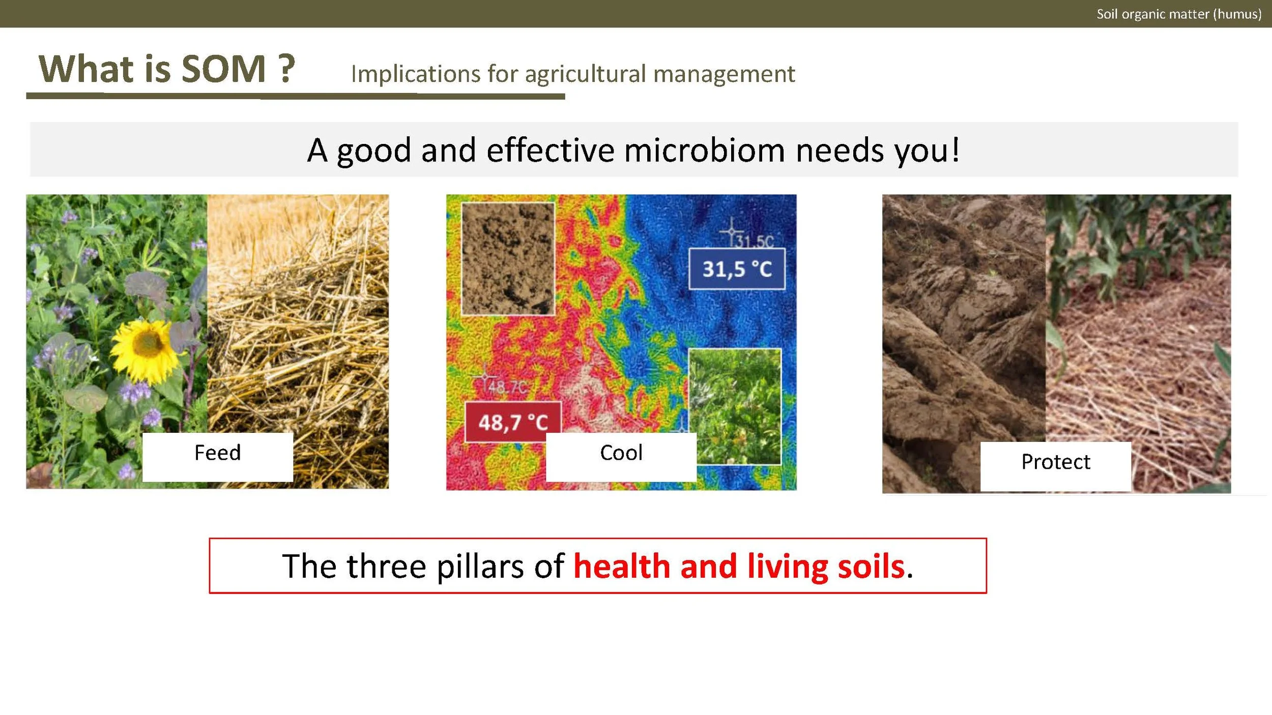 Norway presentation Final 1_Side_33.jpg