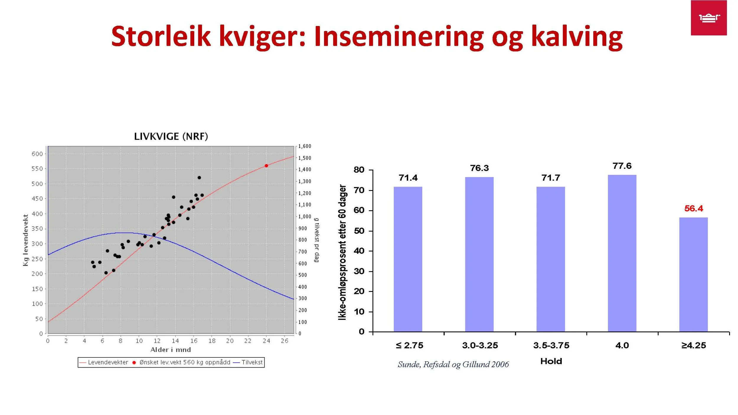 12.30 Frå nyfødt til vaksen Randi T. Garnmo_Side_05.jpg