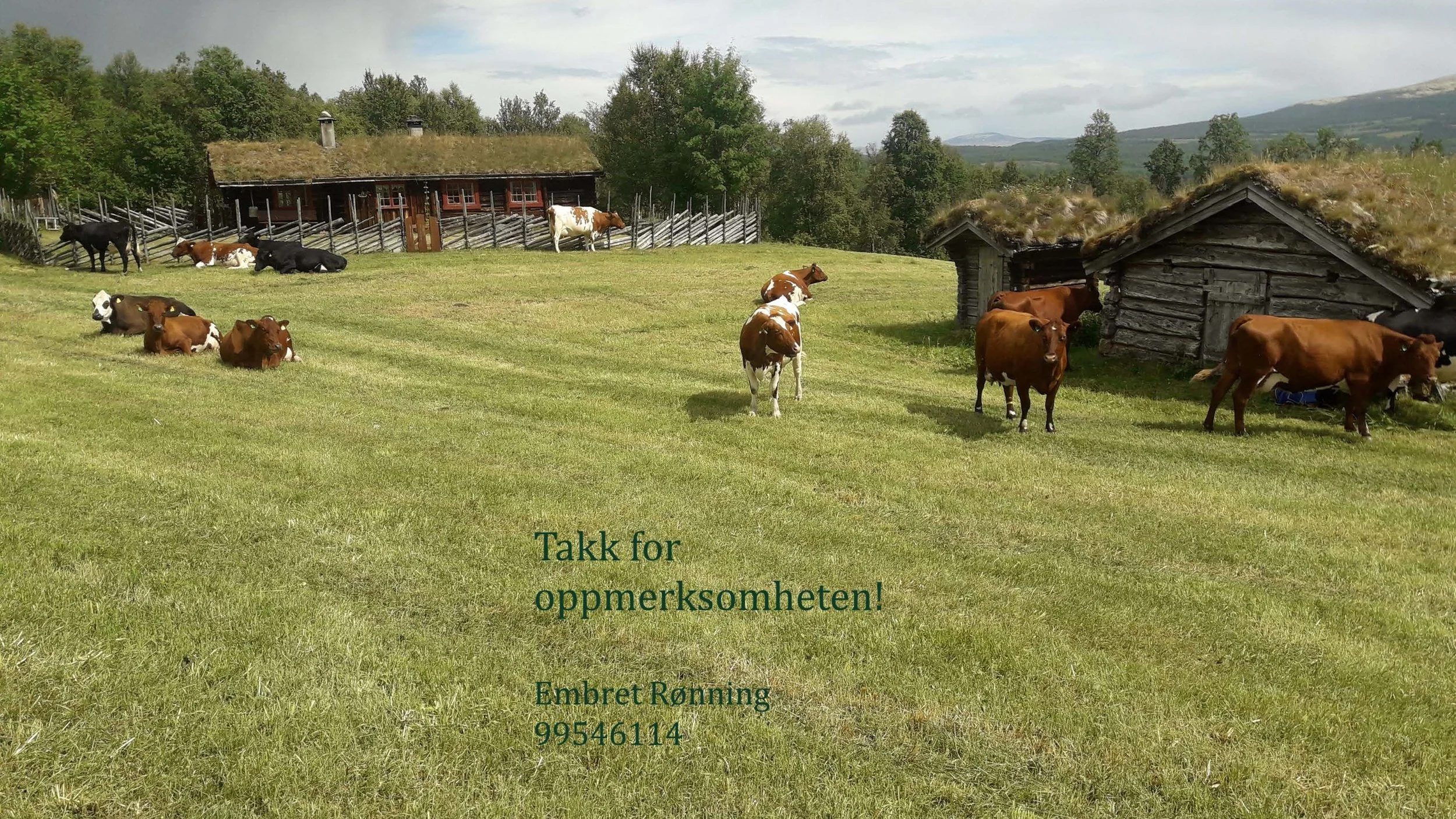 08.50 Lund, Rønning og Vange eksempel knytt til Sissel Hansen sitt foredrag_Side_12.jpg