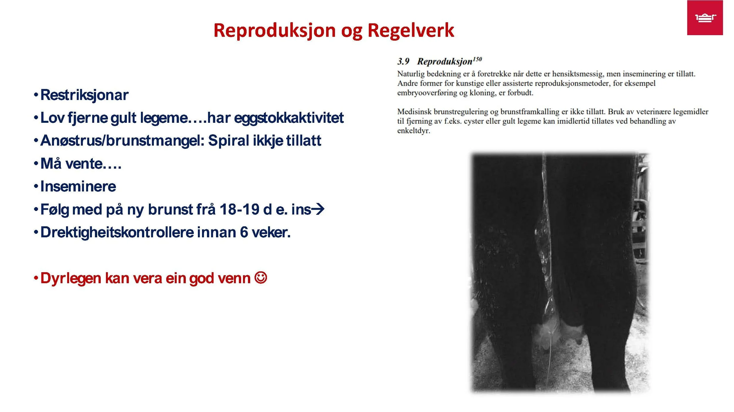 12.30 Frå nyfødt til vaksen Randi T. Garnmo_Side_11.jpg