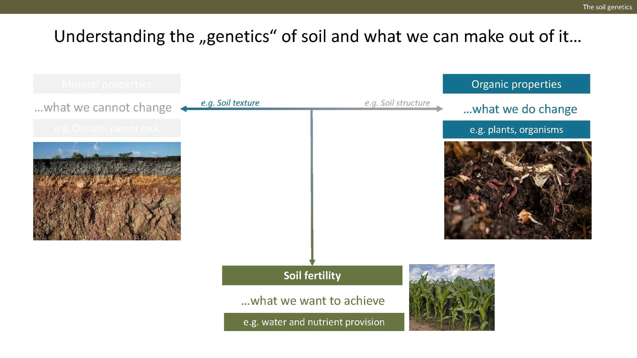 Norway presentation Final 1_Side_12.jpg