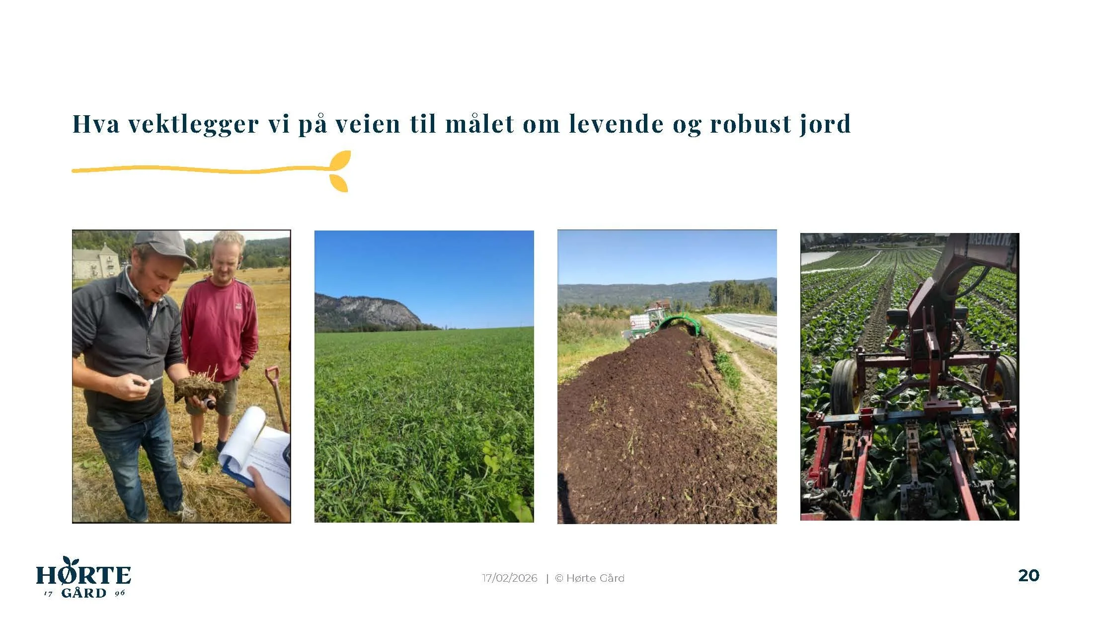 14 30 Åkerbruk Grønsaker i vekstskifte på godt og vondt Hørthe_Side_20.jpg