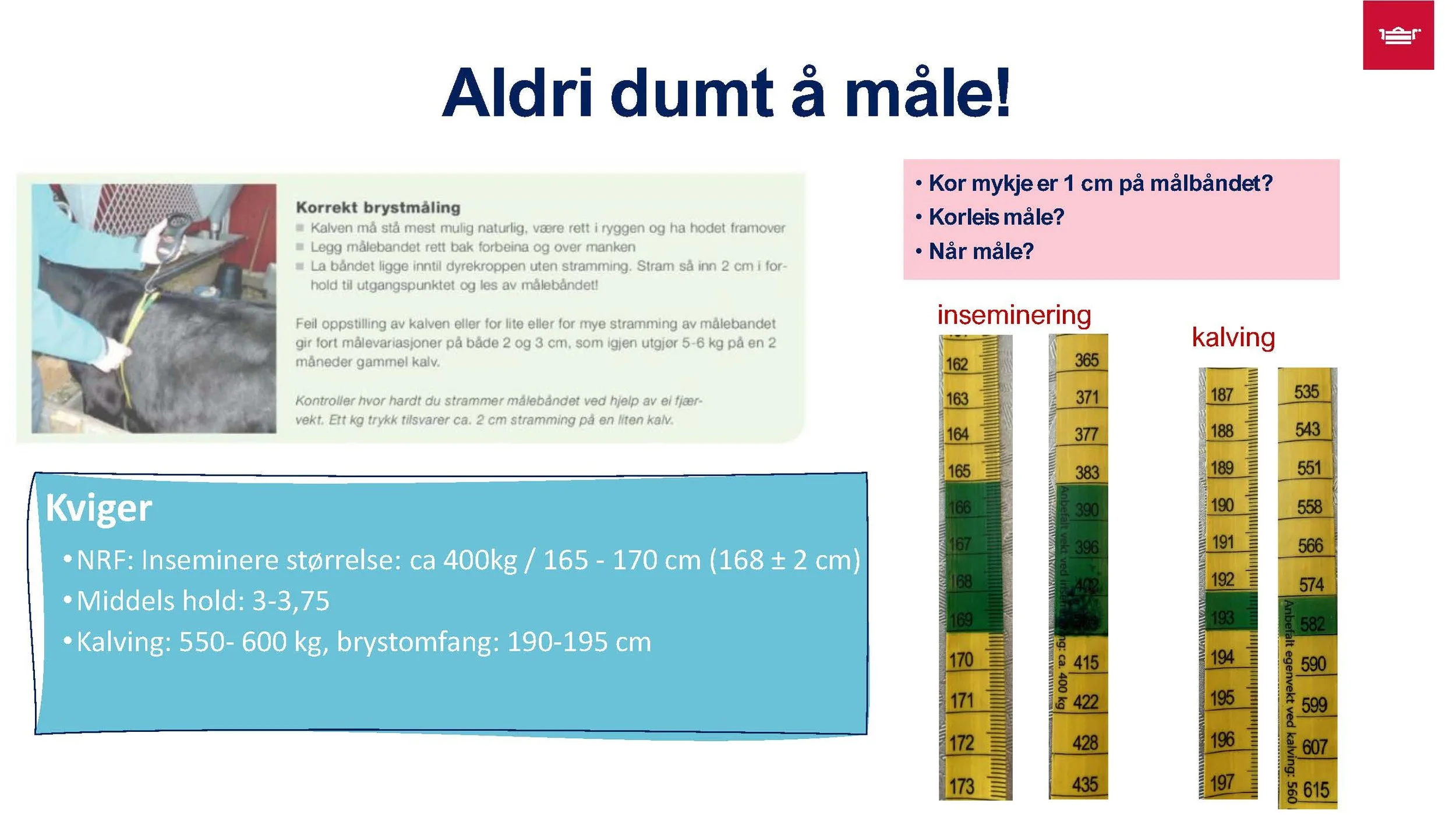 12.30 Frå nyfødt til vaksen Randi T. Garnmo_Side_04.jpg