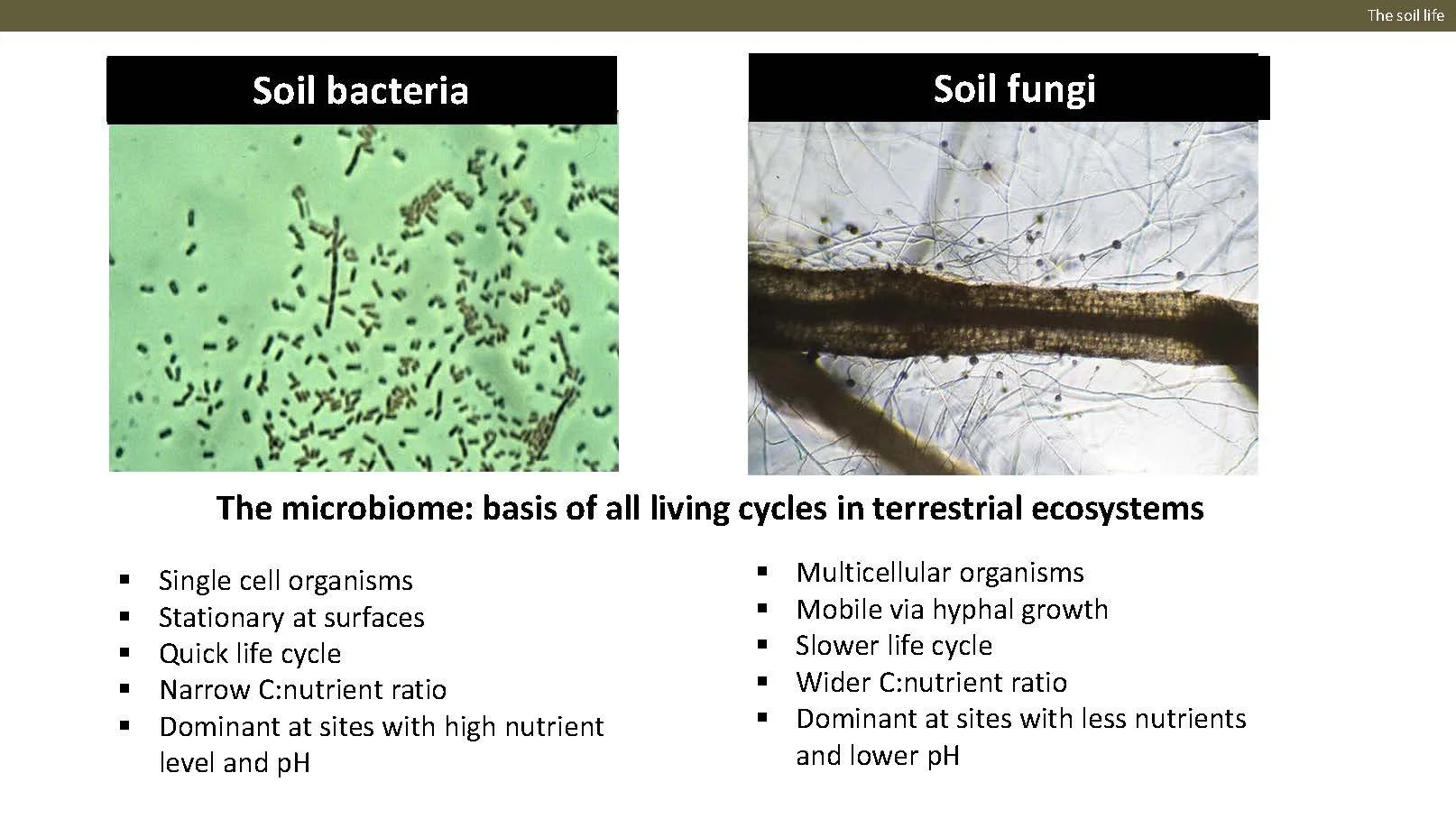 Norway presentation Final 1_Side_23.jpg