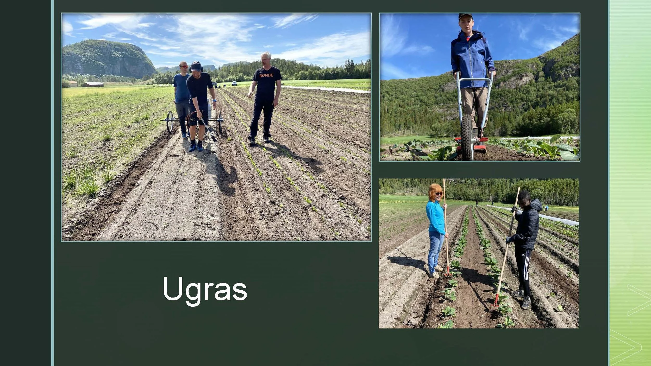 09 45 Åkerbruk Dun Gård, Jøa_Side_18.jpg