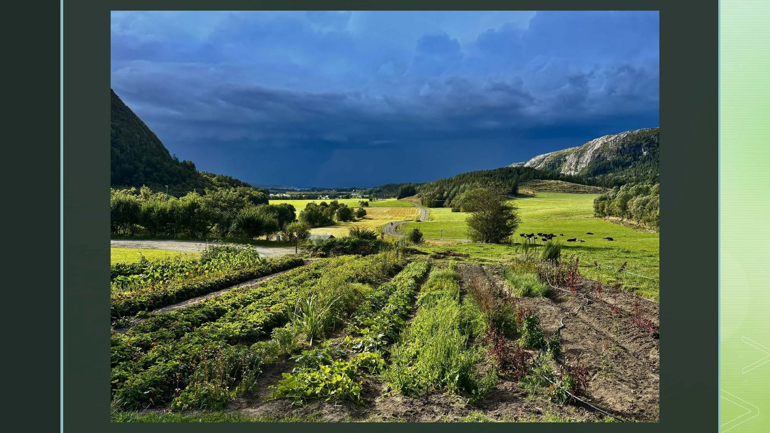 09 45 Åkerbruk Dun Gård, Jøa_Side_25.jpg