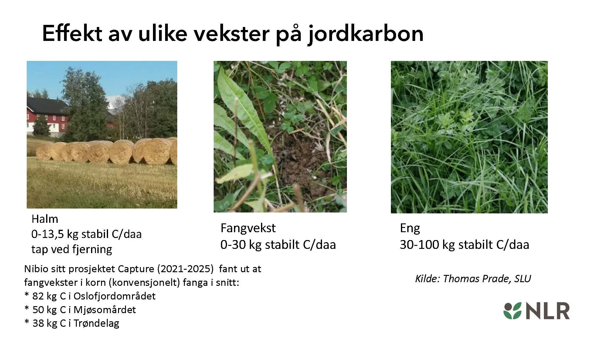 16.30 Den fantastiske enga! Kari Bysveen_Side_15.jpg