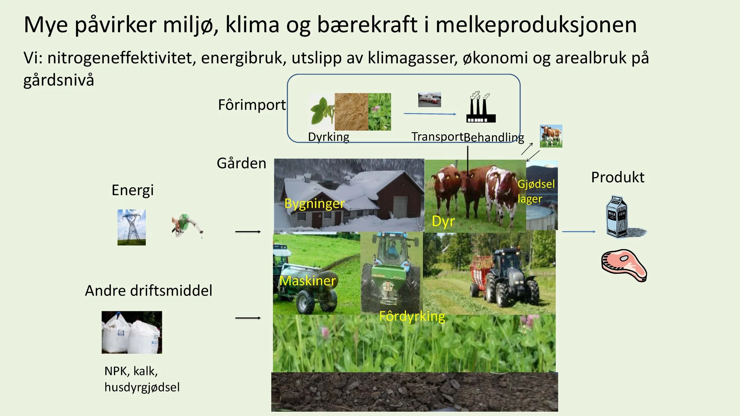 11.05 Anne Kristin Løes Økolandbruket beredskap og bærekraft-1_Side_03_Side_02.jpg