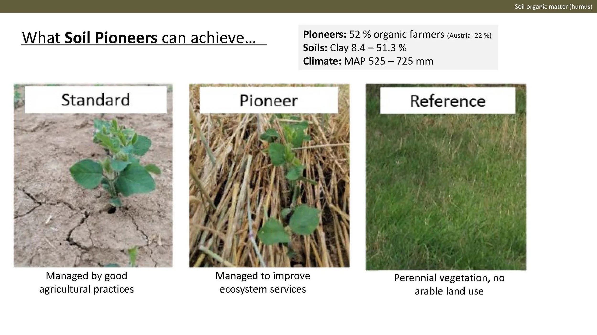 Norway presentation Final 1_Side_43.jpg