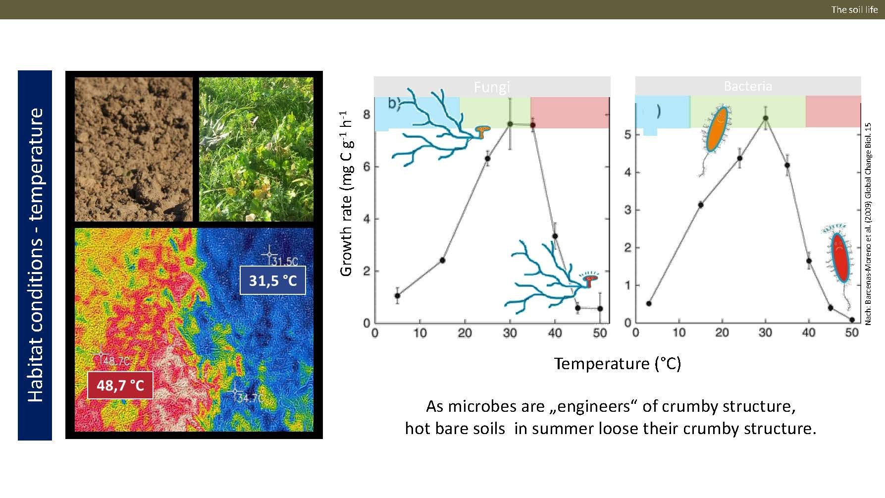 Norway presentation Final 1_Side_58.jpg