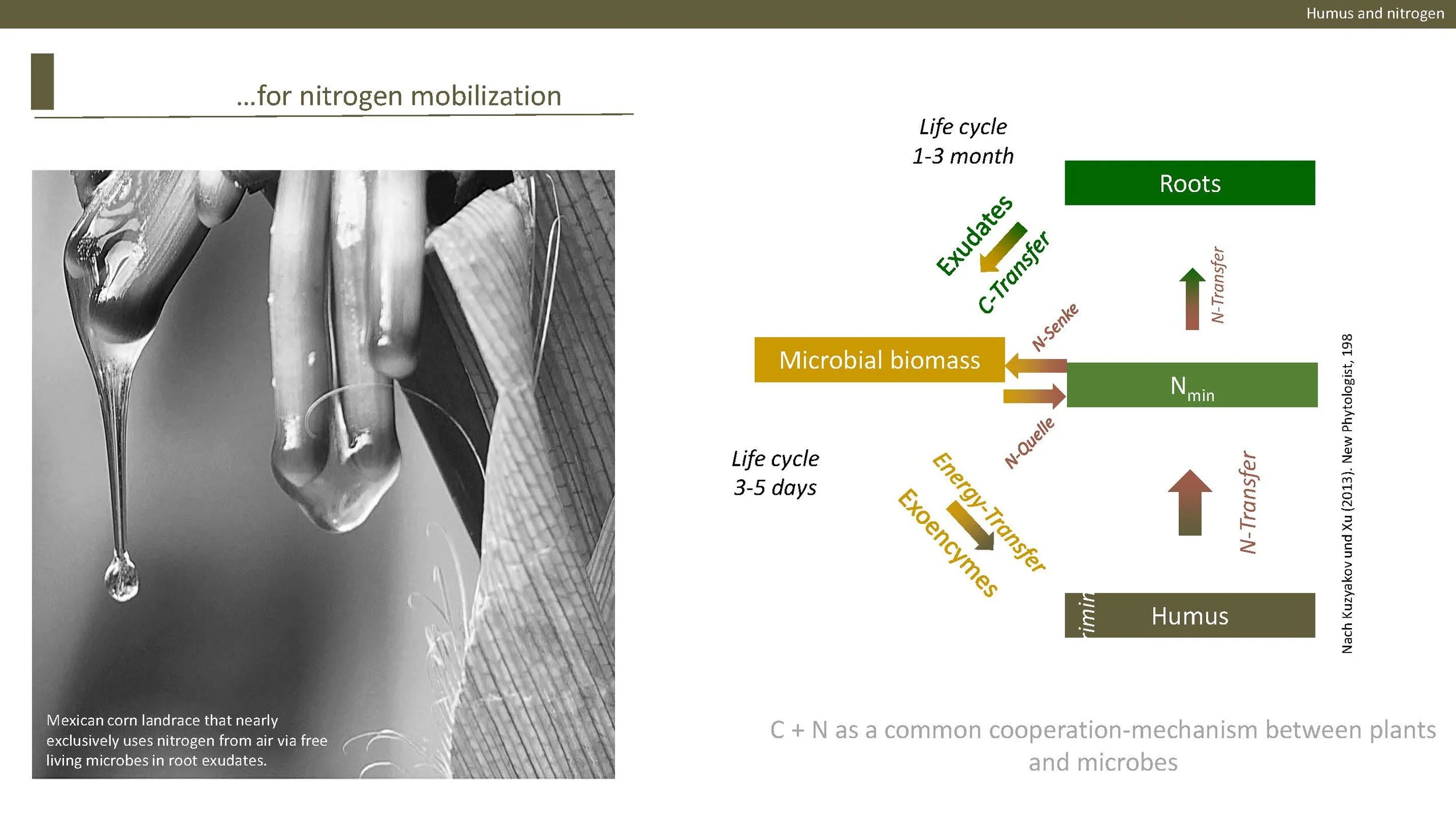 Norway presentation Final 1_Side_39.jpg