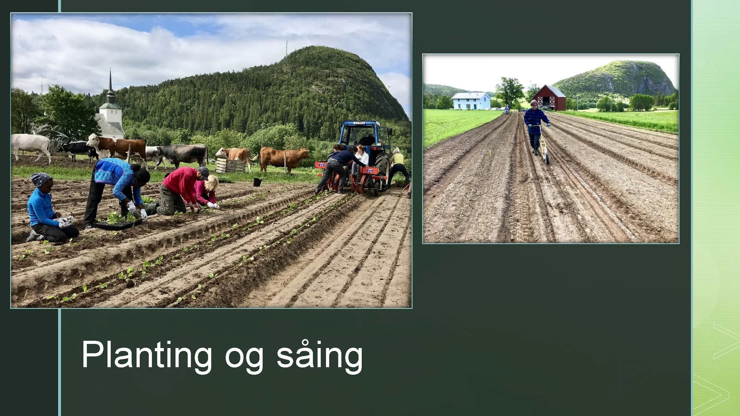 09 45 Åkerbruk Dun Gård, Jøa_Side_19.jpg