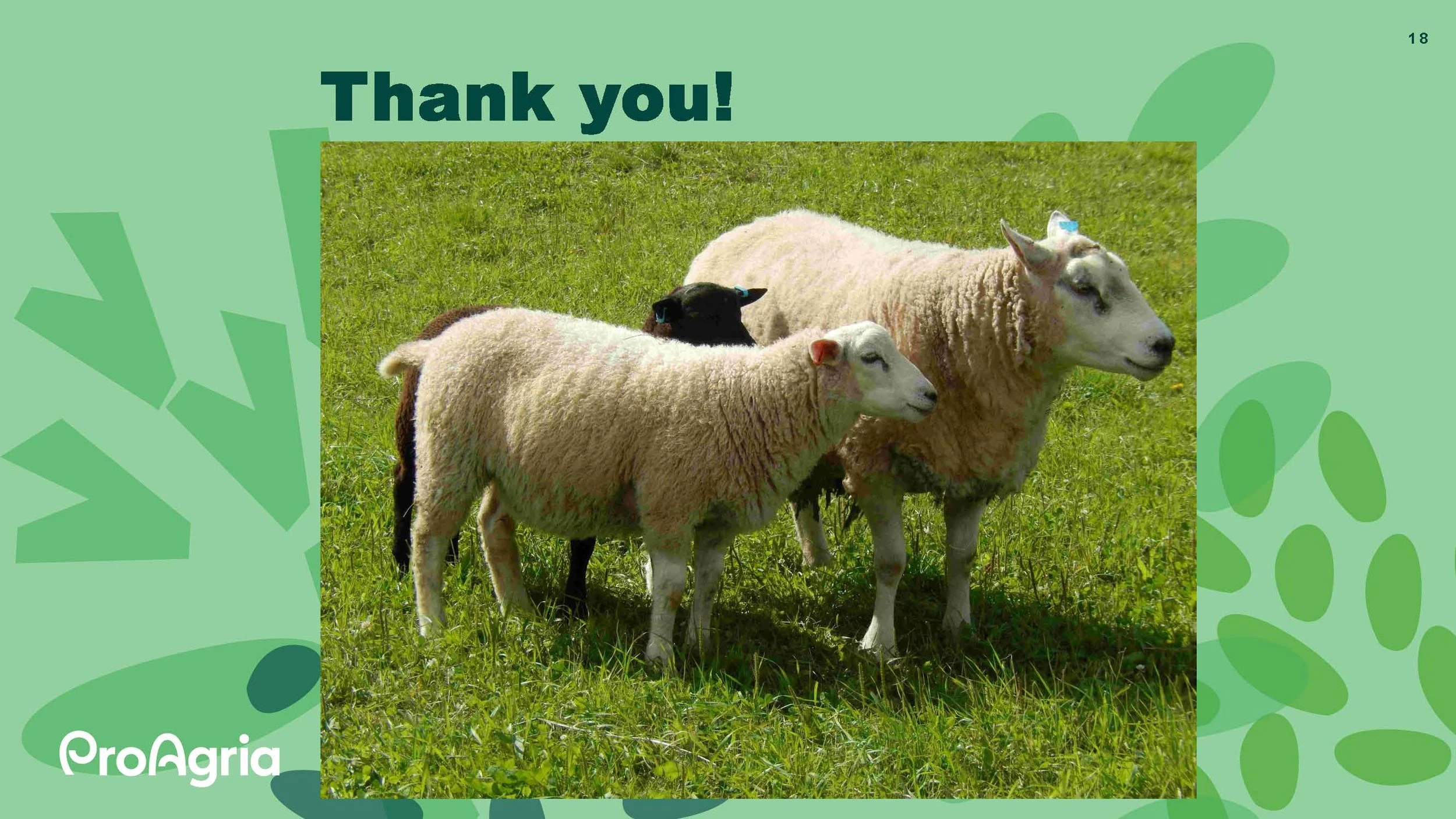 11.05 Anne Kristin Løes Økolandbruket beredskap og bærekraft-1_Side_12_Side_18.jpg