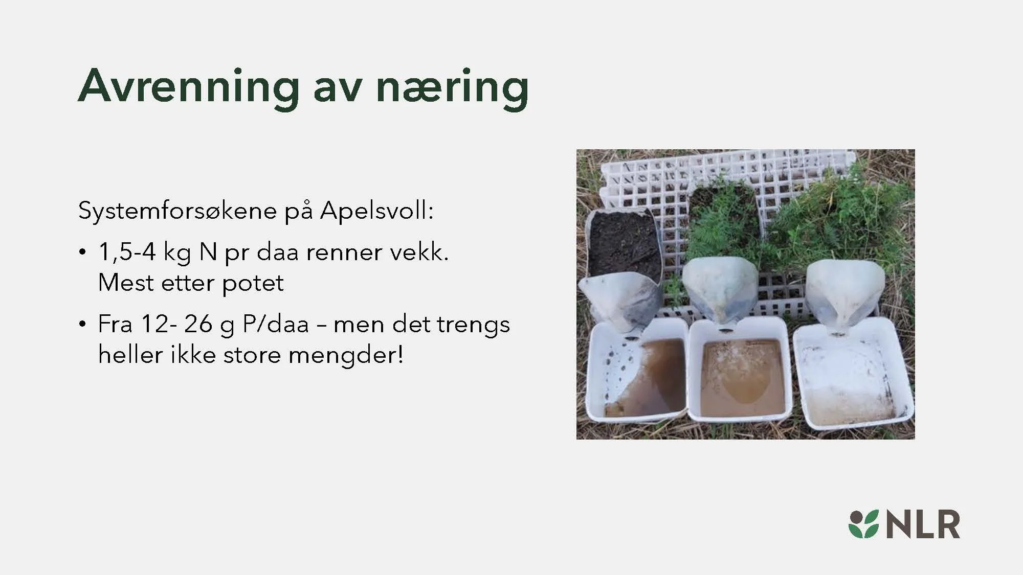 16.30 Den fantastiske enga! Kari Bysveen_Side_21.jpg