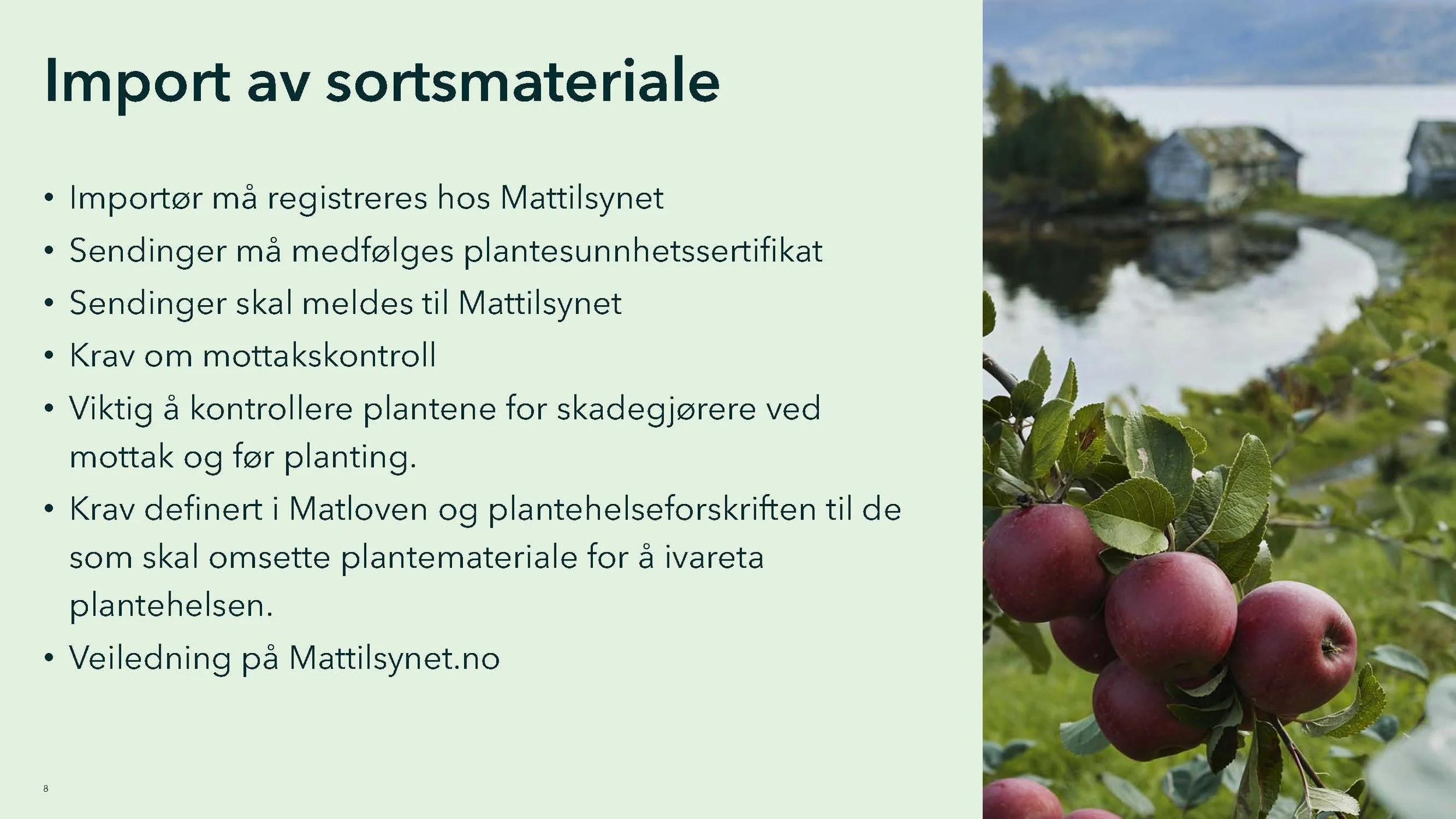 Monica 2_Side_08.jpg