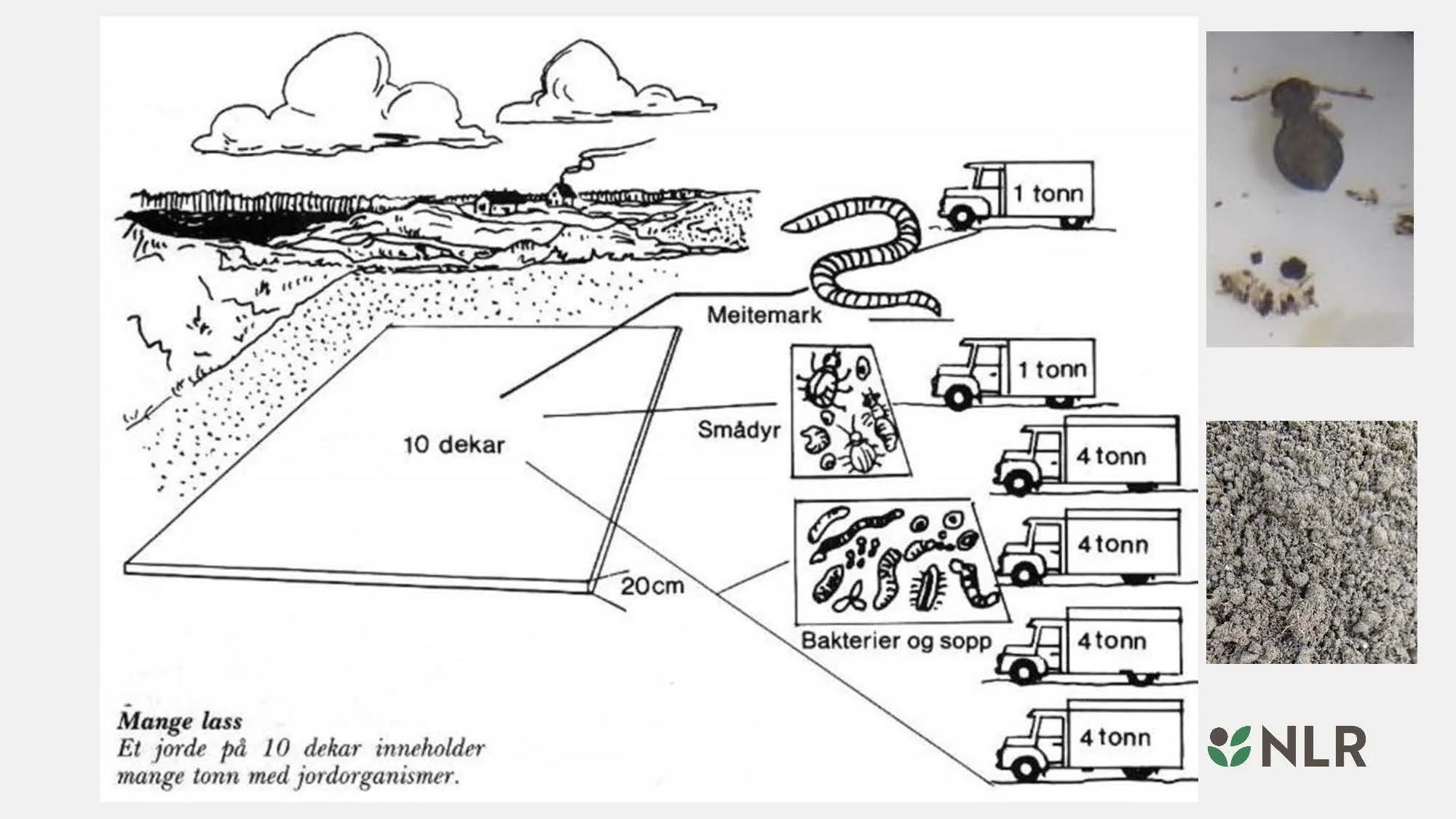 16.30 Den fantastiske enga! Kari Bysveen_Side_10.jpg