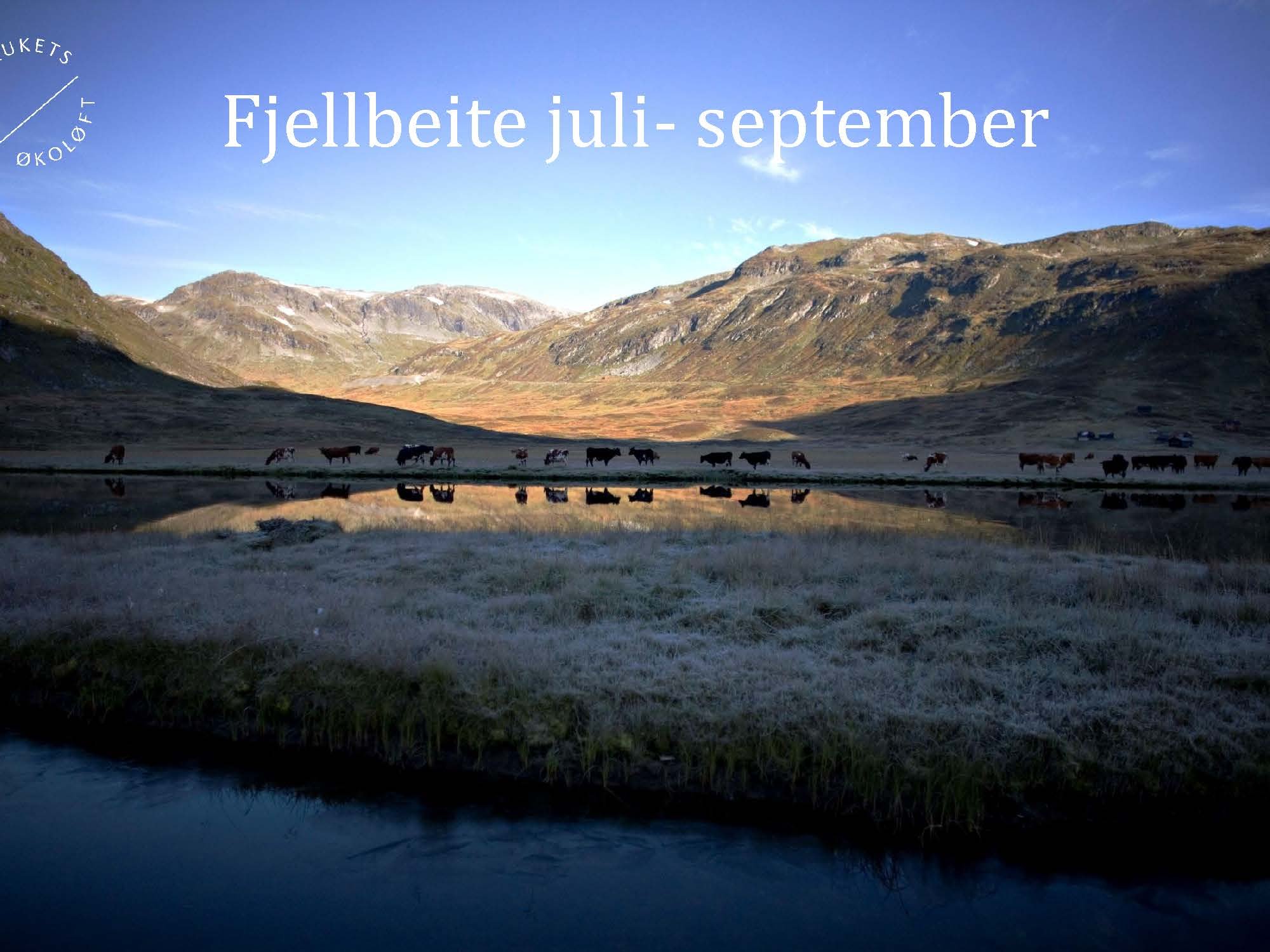 11.20 (2) Turid Vange Spydspiss_Side_07.jpg