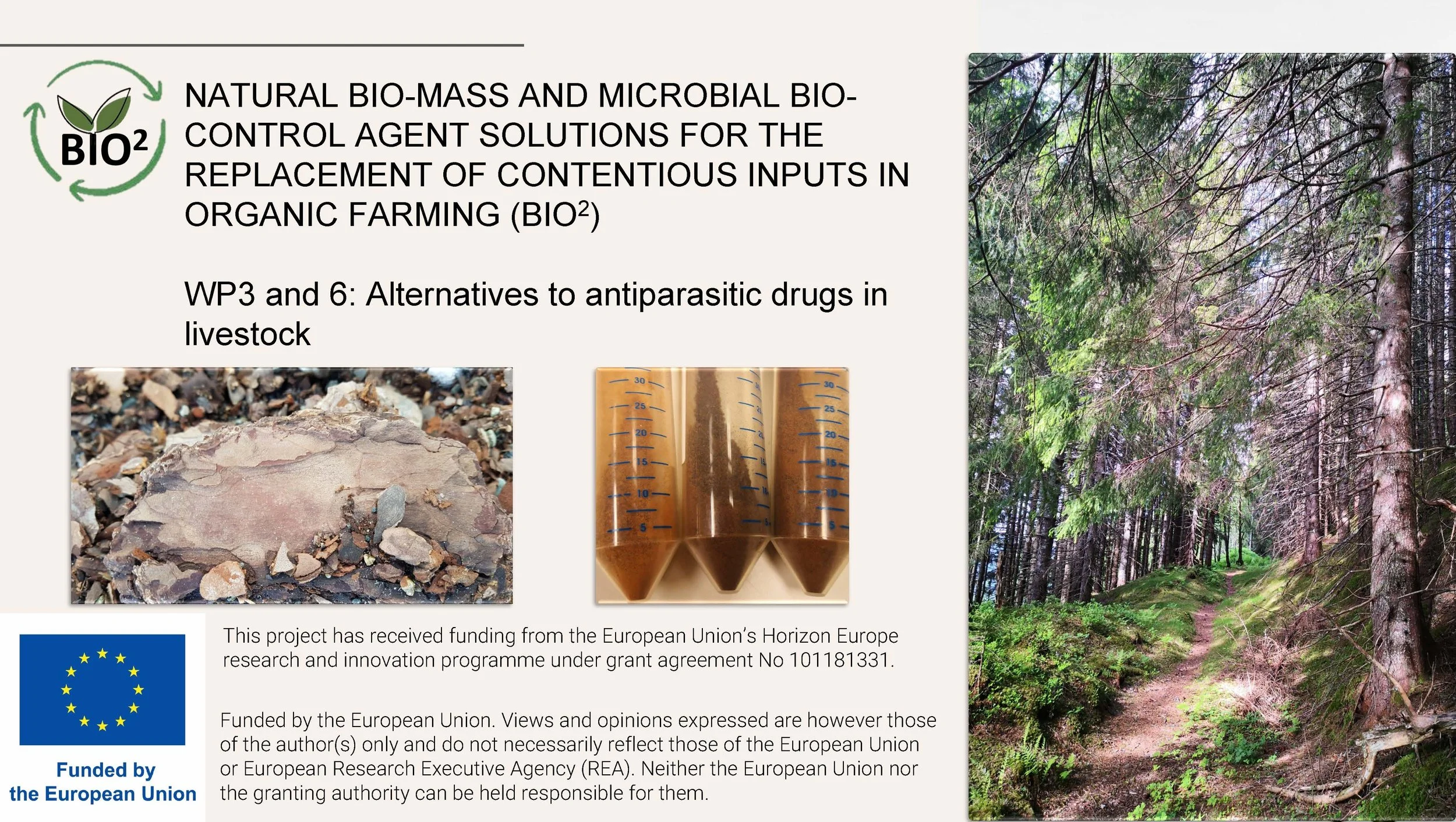 14.00 Berit Blomstrand Hvordan forebygge mot innvollsnyltere_Side_16.jpg