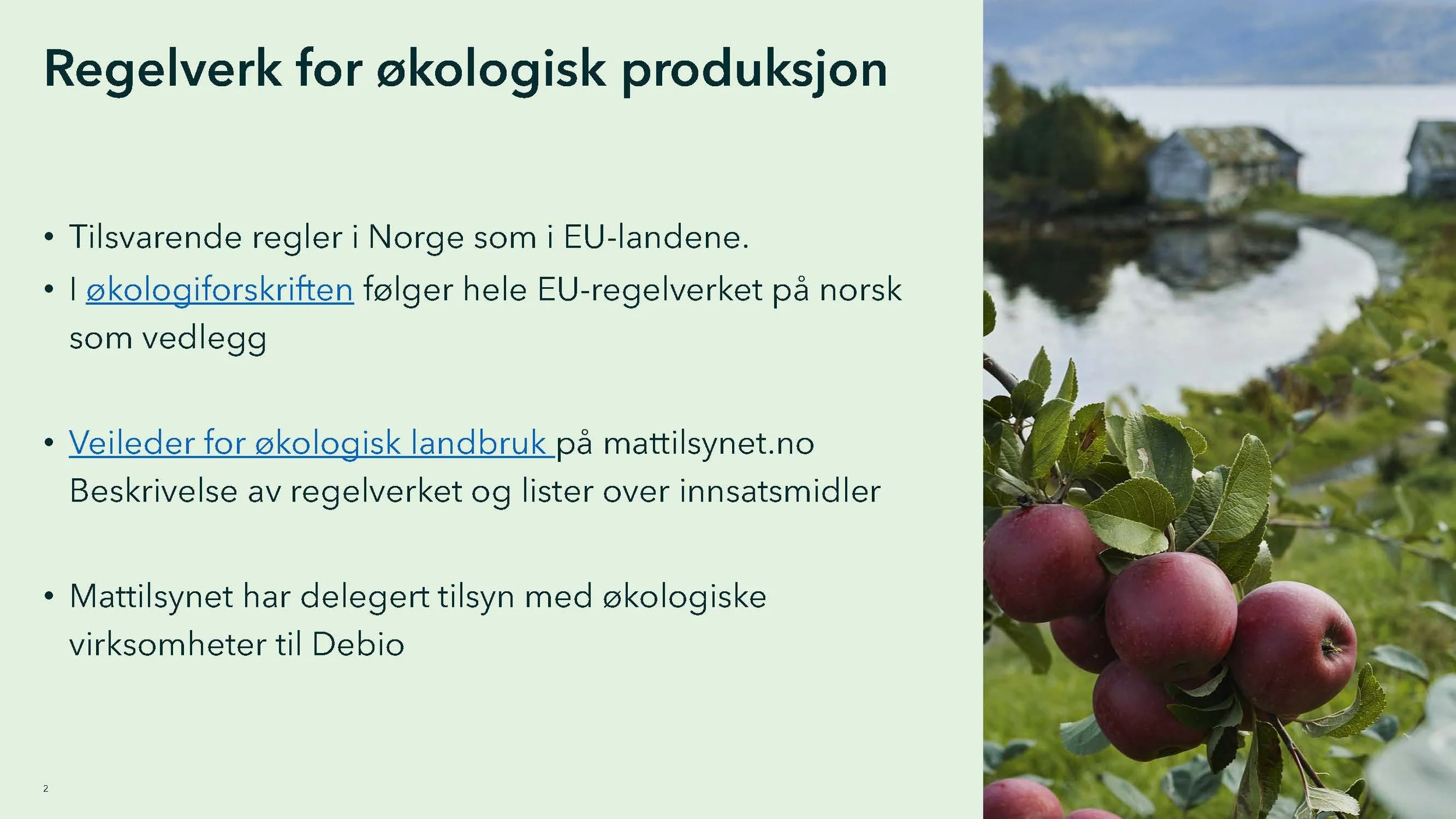 Monica 2_Side_02.jpg