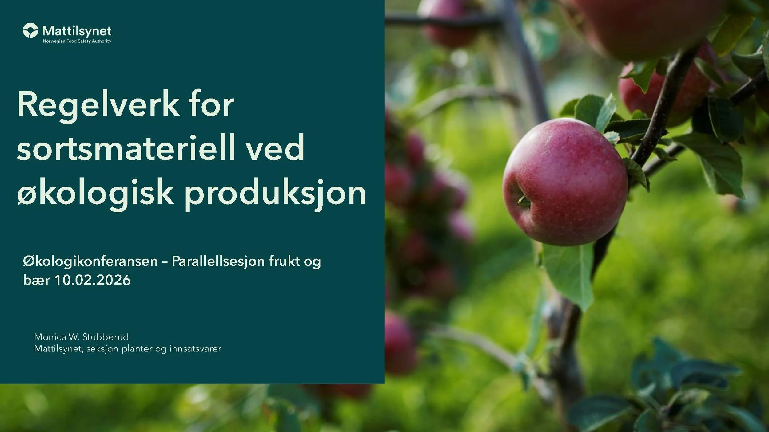 Monica 2_Side_01.jpg