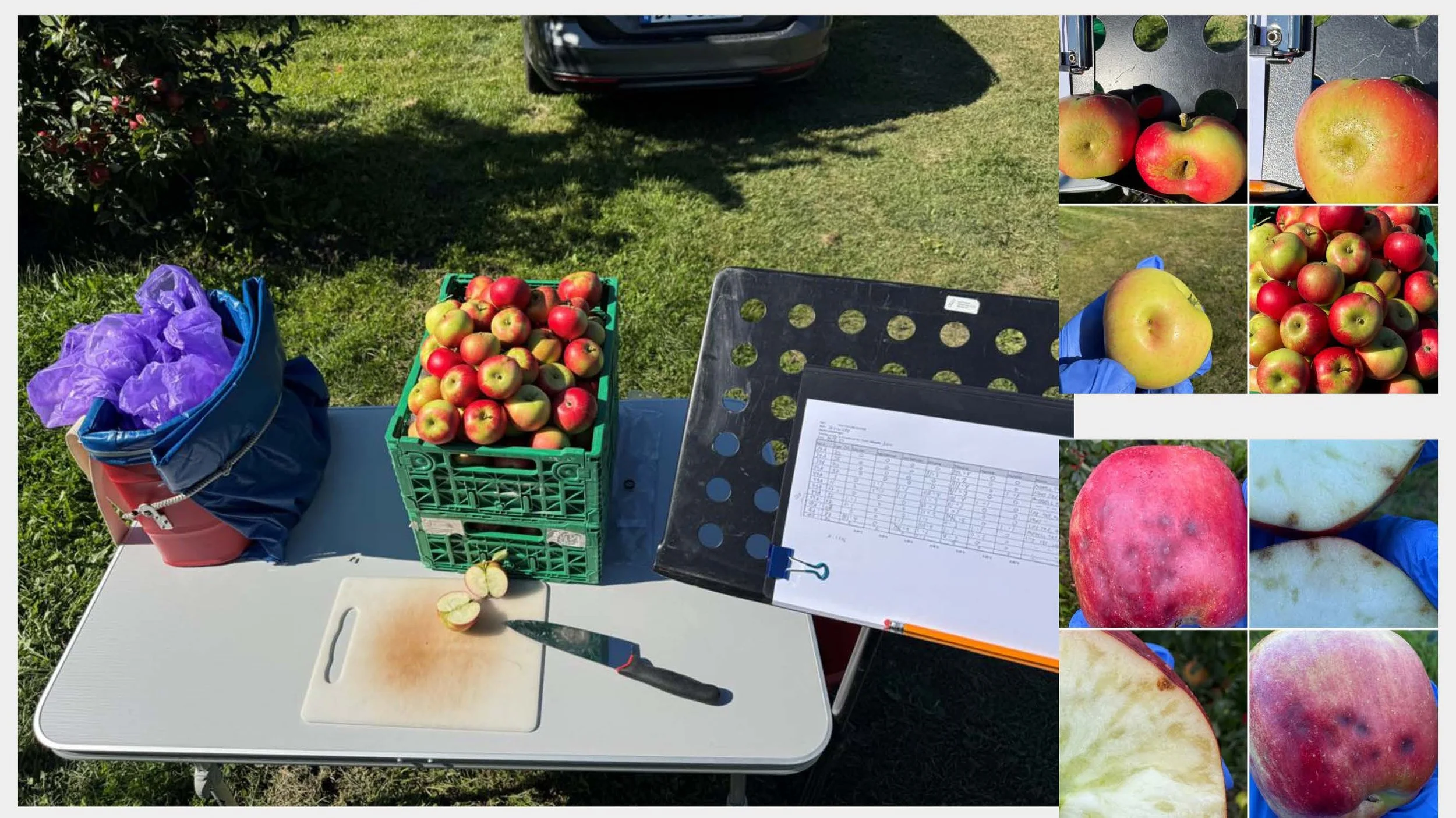 11 00 Bruk av biologiske tiltak og turex for best mulig effekt Gaute Myren NLR_Side_09.jpg