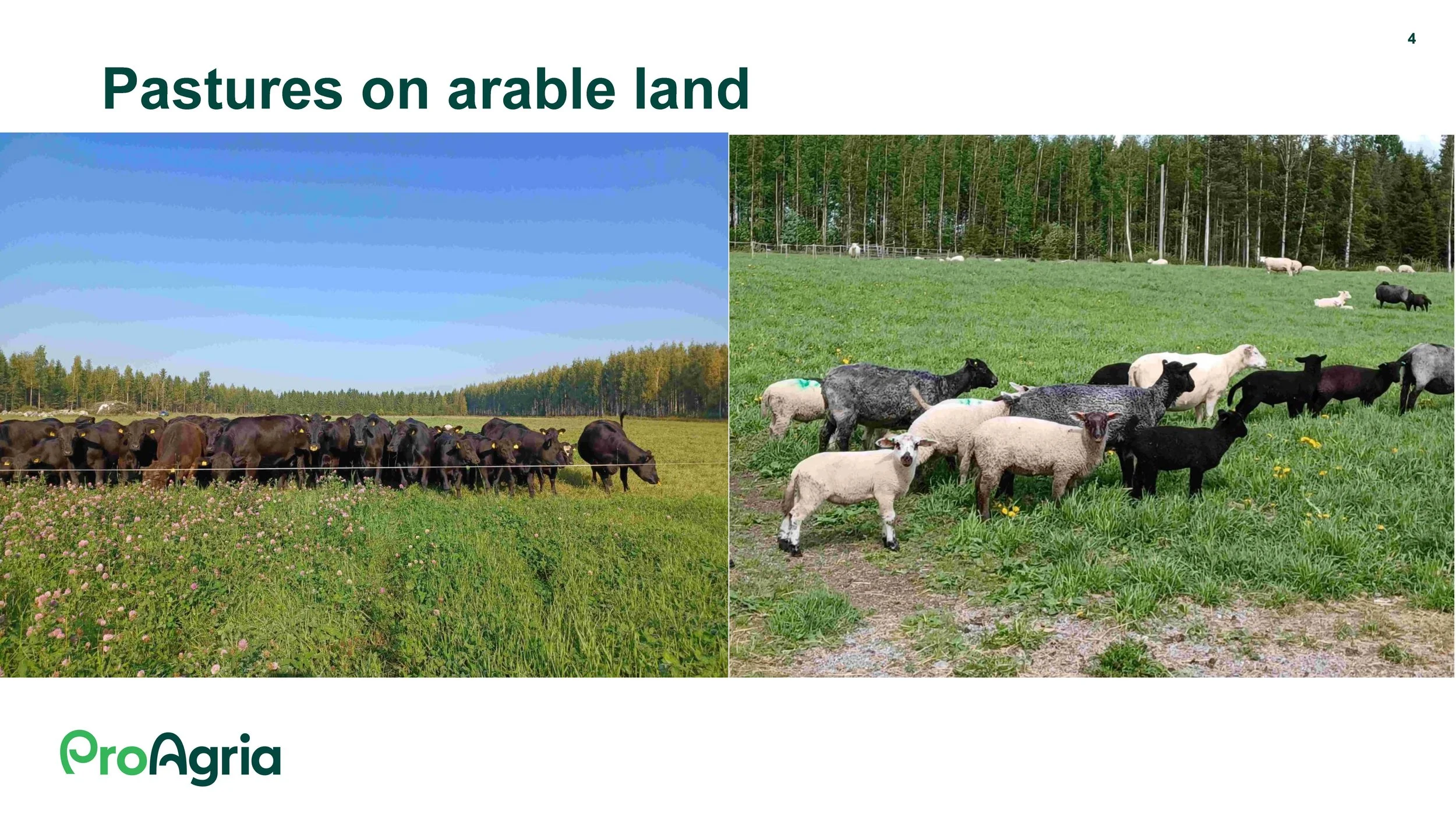 11.05 Anne Kristin Løes Økolandbruket beredskap og bærekraft-1_Side_12_Side_04.jpg