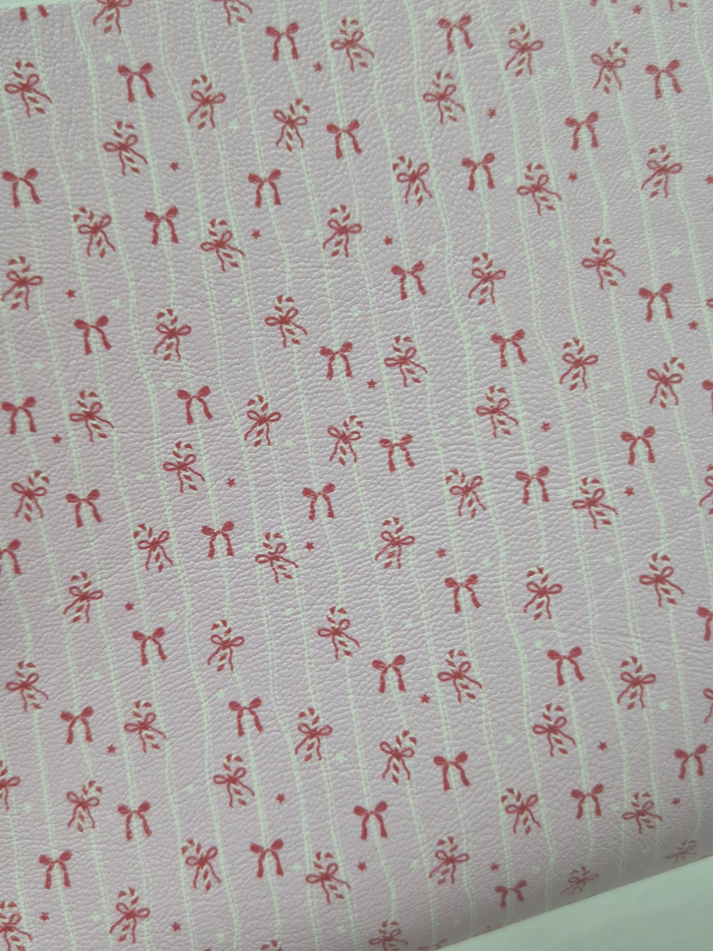 20251110_123049.jpg