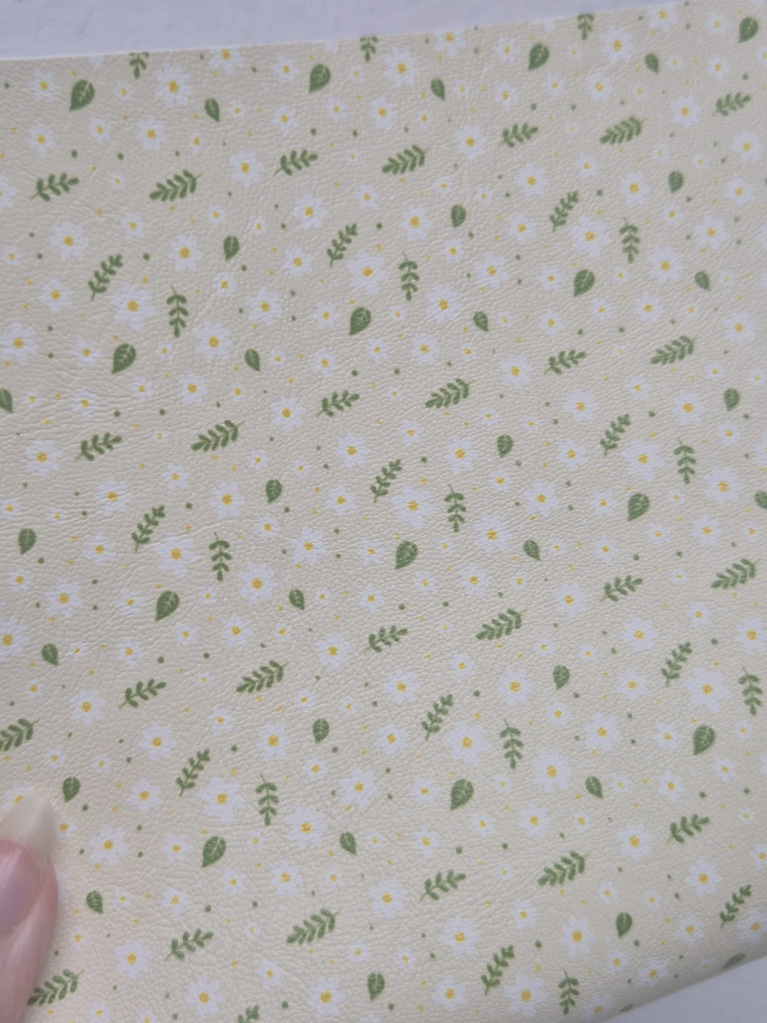 Daisies on Cream