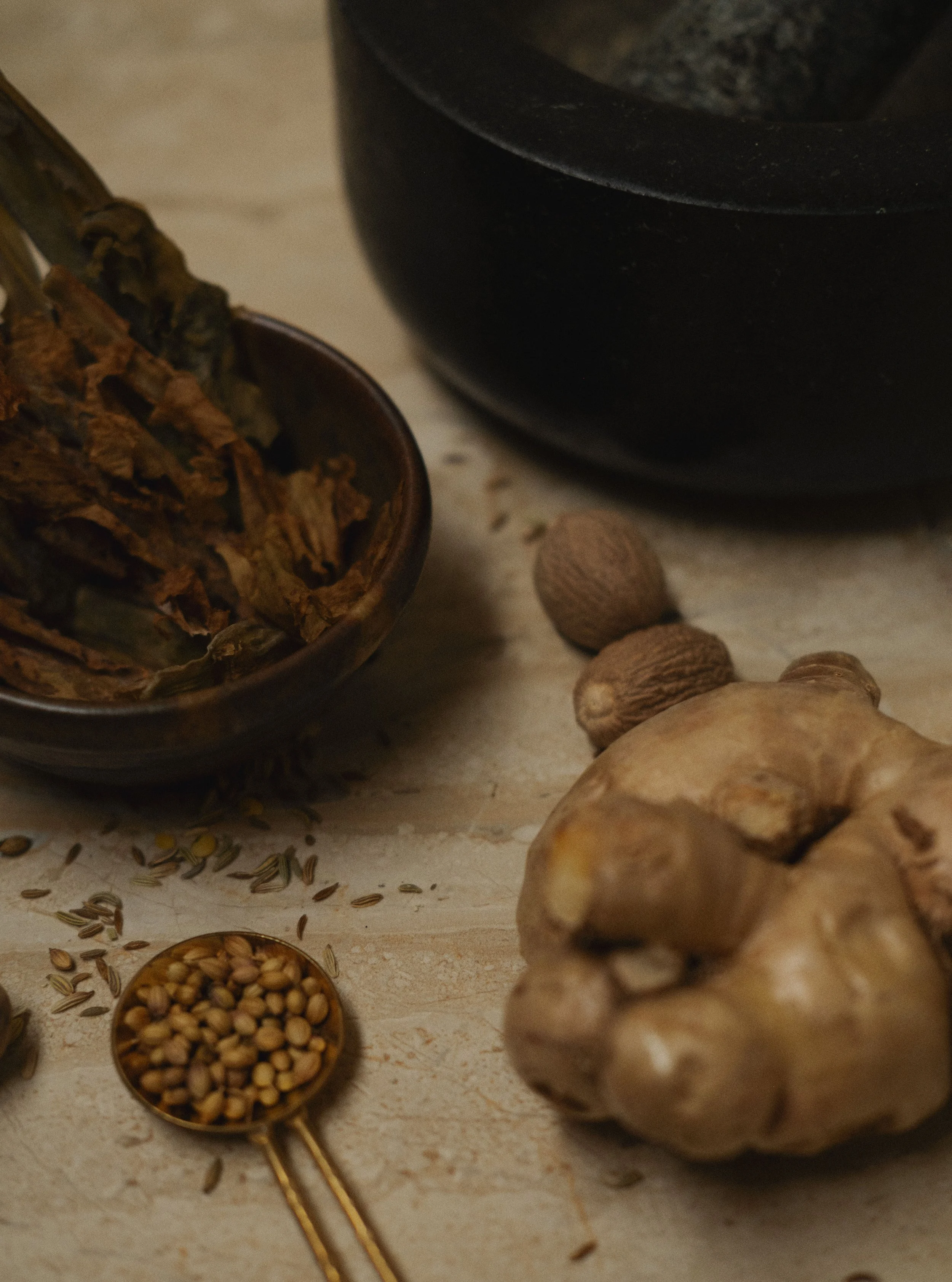 agni, the corner stone of timeless beauty